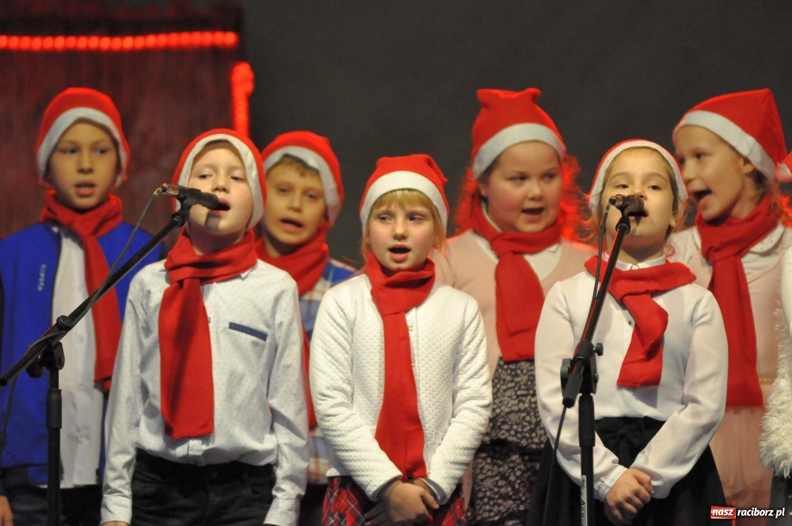 Zdjęcie w galerii na portalu naszraciborz.pl: Tłumy na kiermaszu świątecznym w Pietrowicach Wielkich [FOTO i WIDEO] wiadomości z regionu