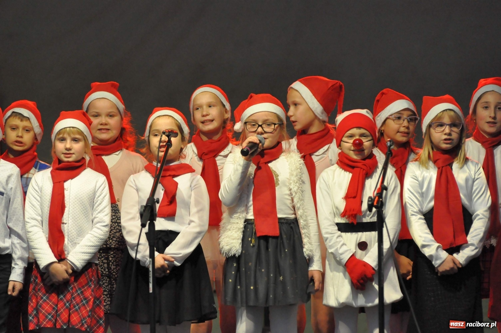 Zdjęcie w galerii na portalu naszraciborz.pl: Tłumy na kiermaszu świątecznym w Pietrowicach Wielkich [FOTO i WIDEO] wiadomości z regionu