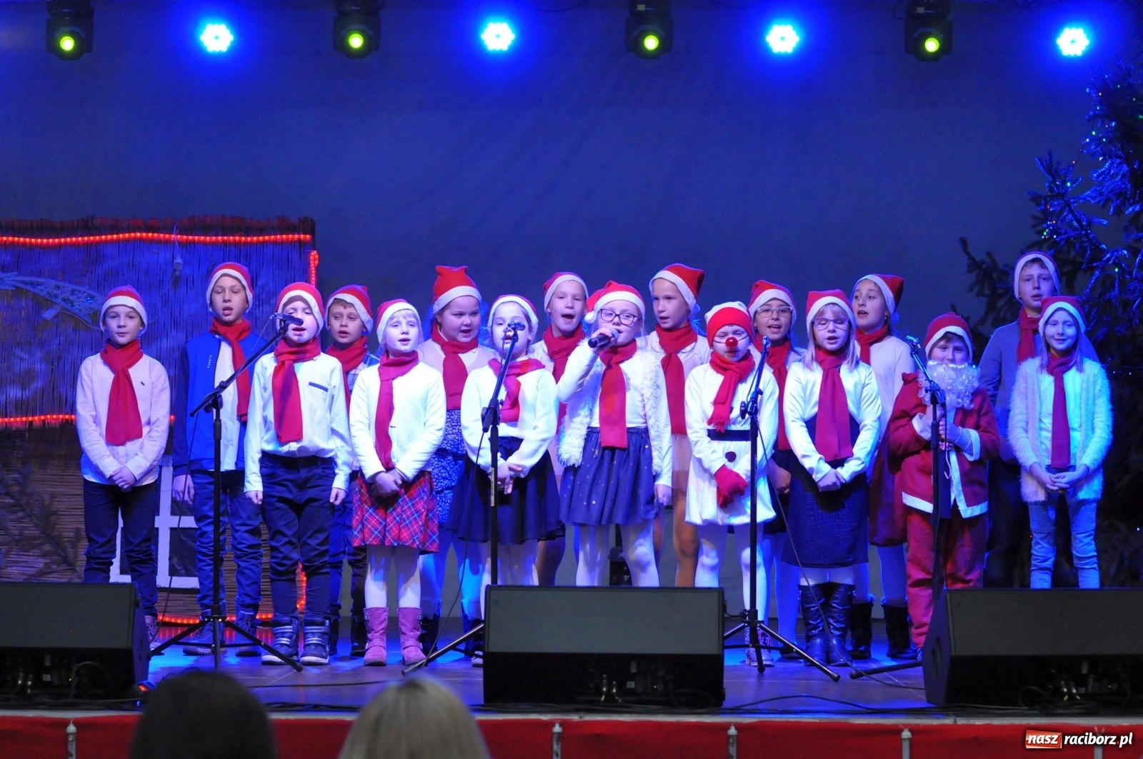 Zdjęcie w galerii na portalu naszraciborz.pl: Tłumy na kiermaszu świątecznym w Pietrowicach Wielkich [FOTO i WIDEO] wiadomości z regionu