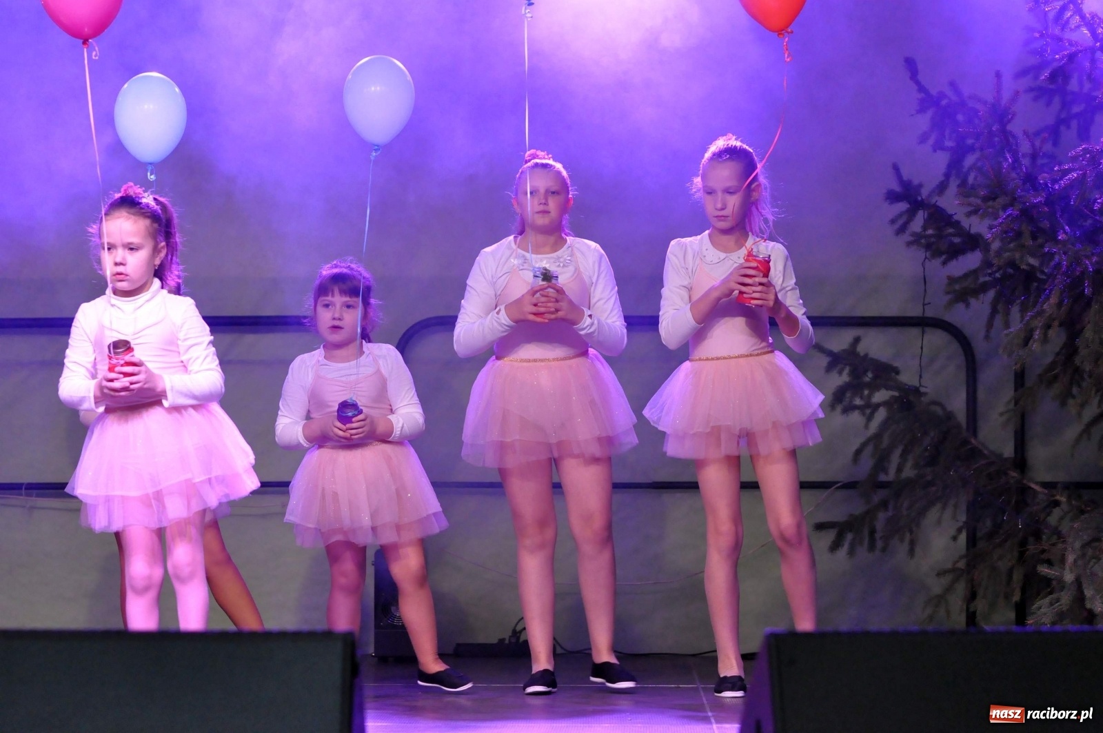 Zdjęcie w galerii na portalu naszraciborz.pl: Tłumy na kiermaszu świątecznym w Pietrowicach Wielkich [FOTO i WIDEO] wiadomości z regionu