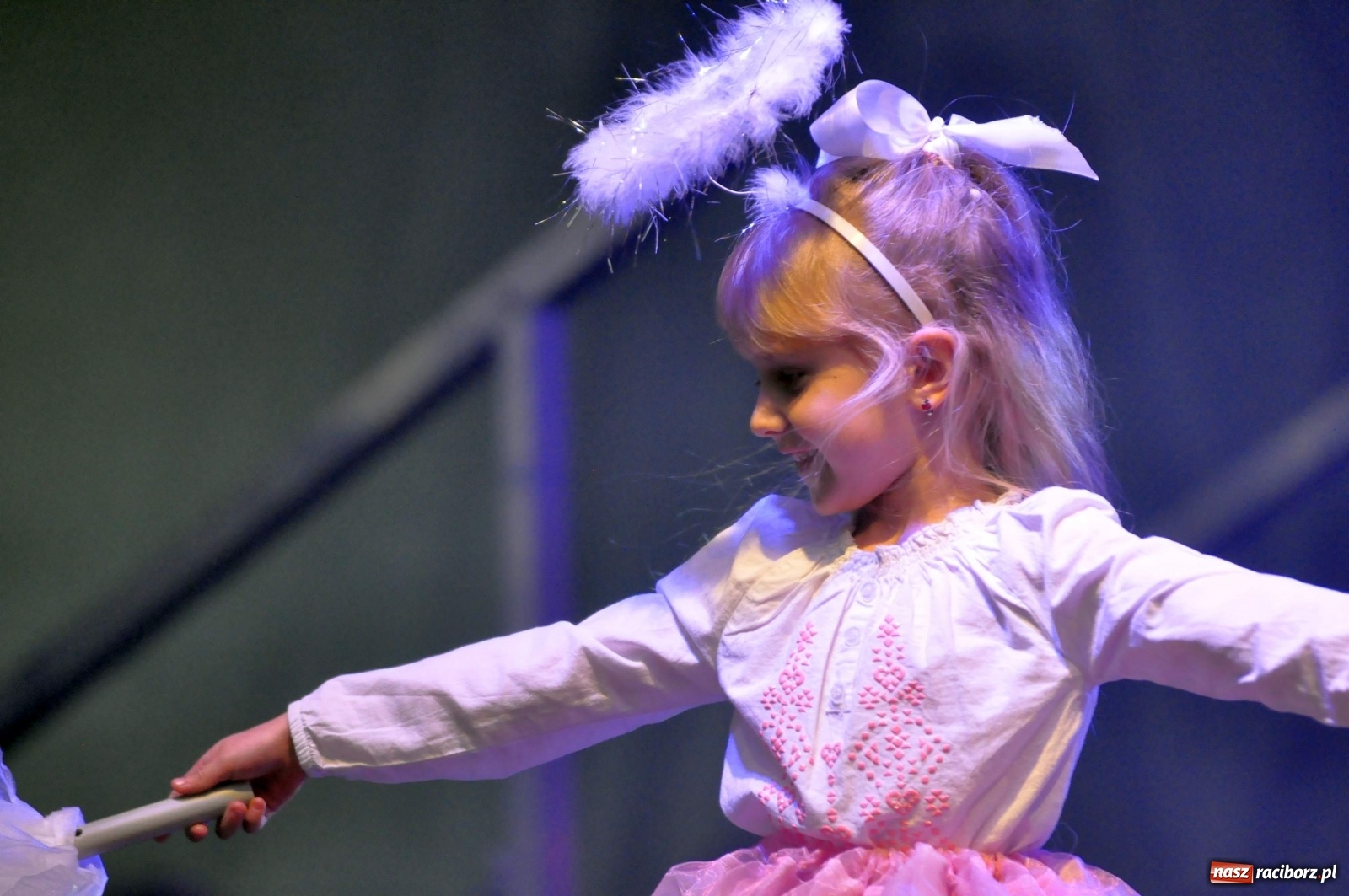 Zdjęcie w galerii na portalu naszraciborz.pl: Tłumy na kiermaszu świątecznym w Pietrowicach Wielkich [FOTO i WIDEO] wiadomości z regionu