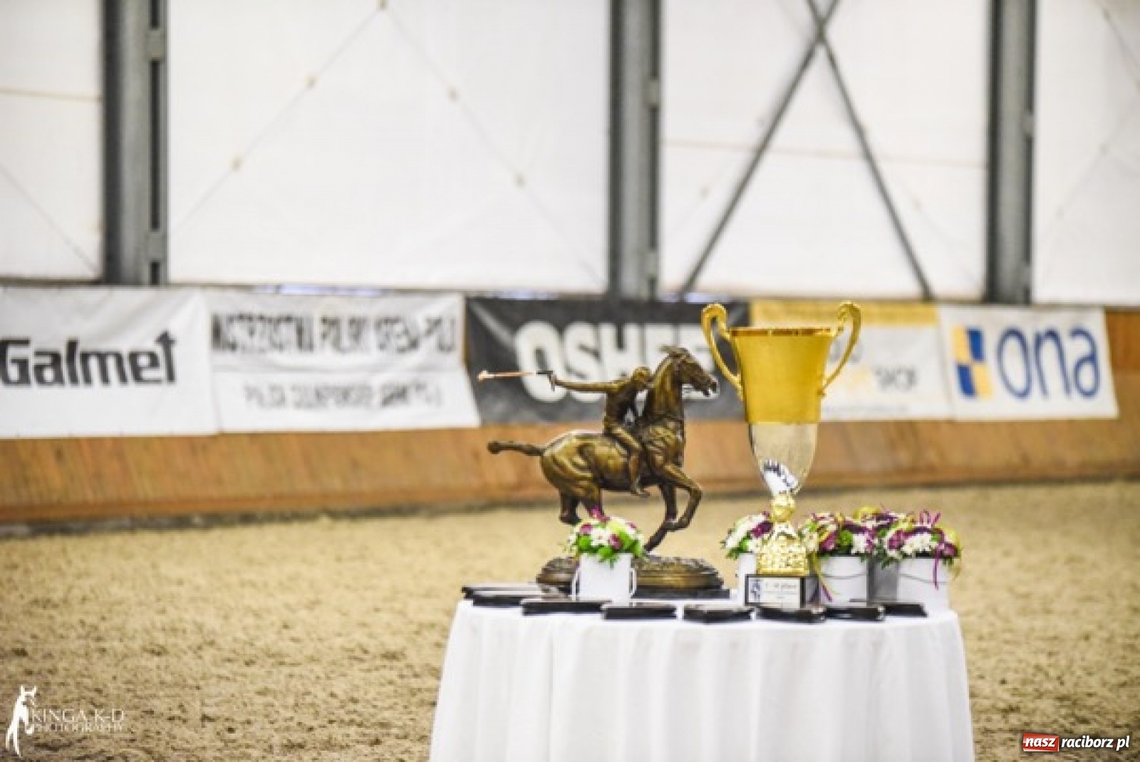 Zdjęcie w galerii na portalu naszraciborz.pl: W Zakrzowie odbędzie się Poland Arena Masters Polo Cup wiadomości z regionu