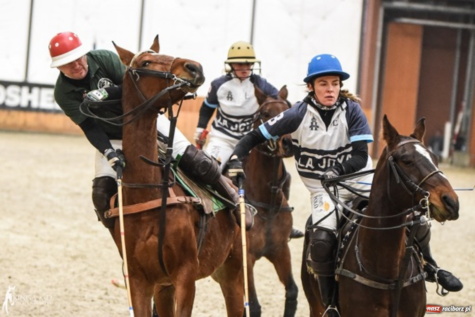 Zdjęcie w galerii na portalu naszraciborz.pl: W Zakrzowie odbędzie się Poland Arena Masters Polo Cup wiadomości z regionu