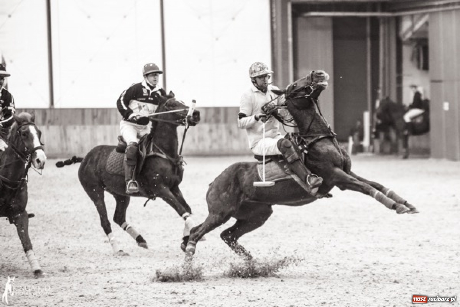 Zdjęcie w galerii na portalu naszraciborz.pl: W Zakrzowie odbędzie się Poland Arena Masters Polo Cup wiadomości z regionu
