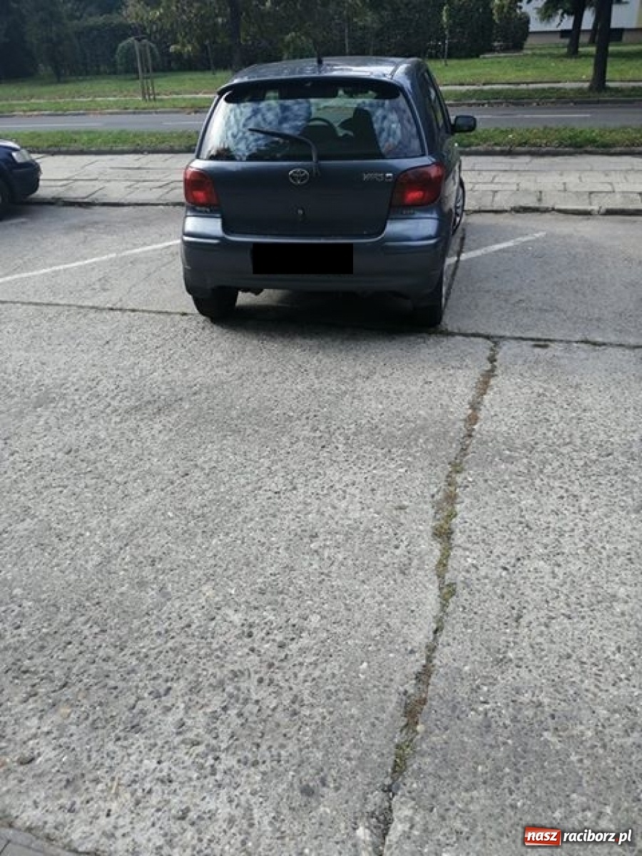 Zdjęcie w galerii na portalu naszraciborz.pl: Mistrz zawsze znajdzie sobie miejsce!  wiadomości z regionu