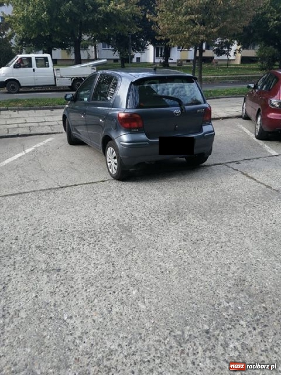 Zdjęcie w galerii na portalu naszraciborz.pl: Mistrz zawsze znajdzie sobie miejsce!  wiadomości z regionu