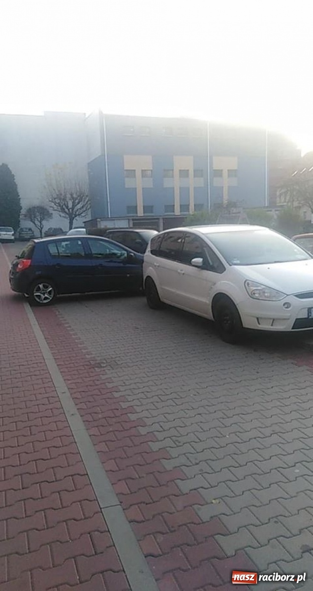 Zdjęcie w galerii na portalu naszraciborz.pl: Mistrz zawsze znajdzie sobie miejsce!  wiadomości z regionu