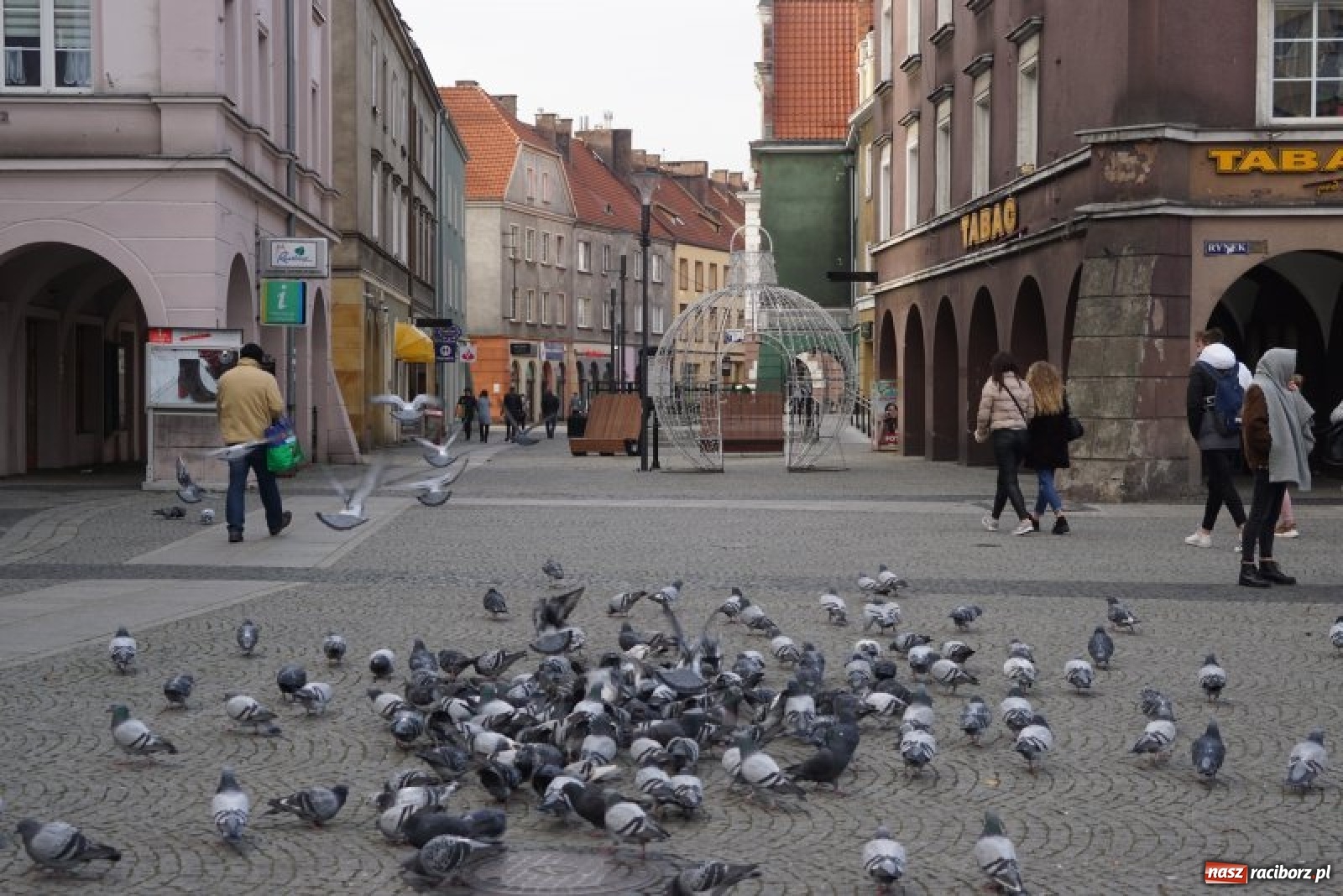 Zdjęcie w galerii na portalu naszraciborz.pl: Przez świetlne bramy na zakupy. Ruszył raciborski jarmark [FOTO i WIDEO] wiadomości z regionu