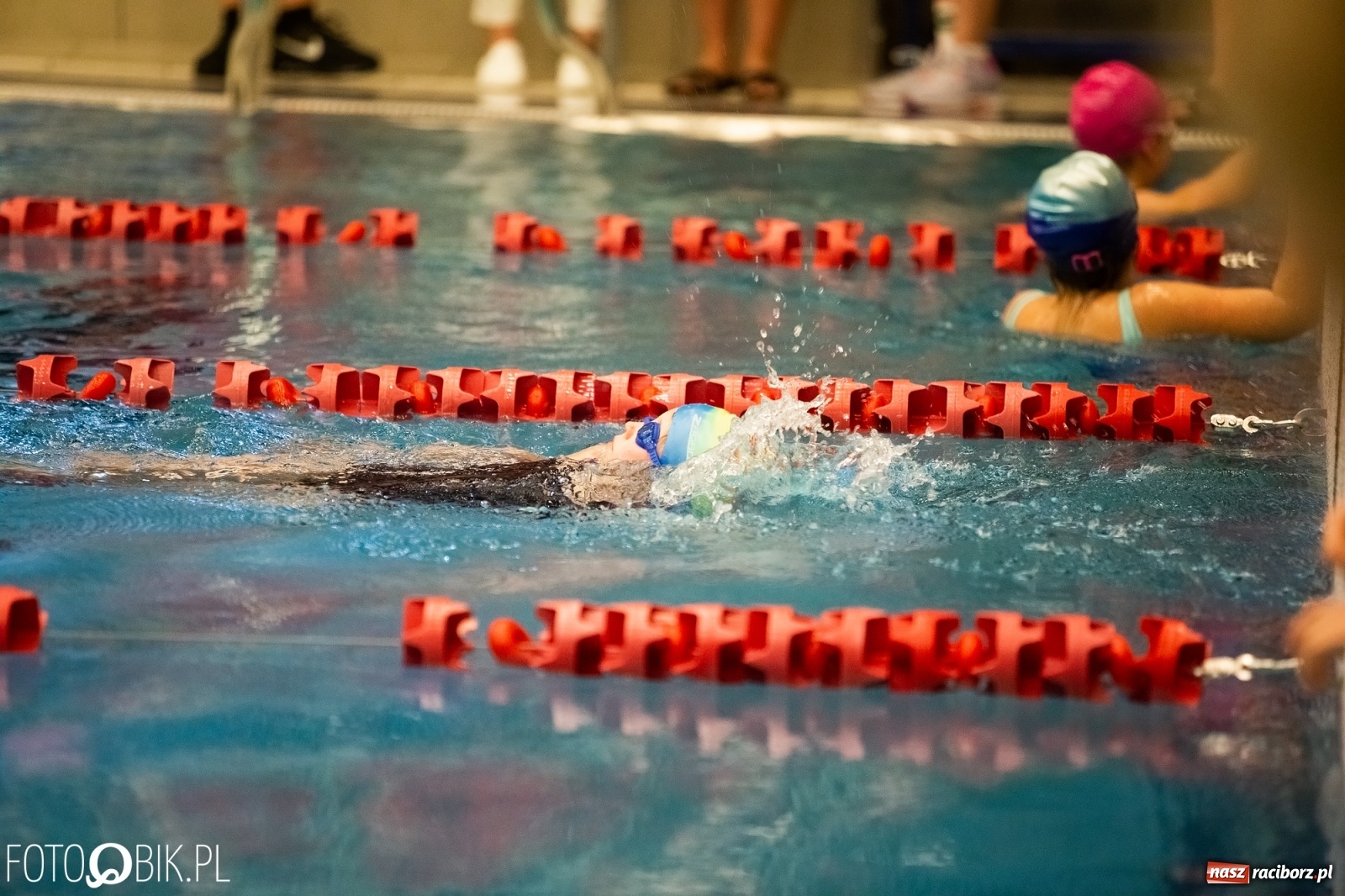 Zdjęcie w galerii na portalu naszraciborz.pl: Mikołajkowe zawody pływackie w ZSOMS wiadomości z regionu