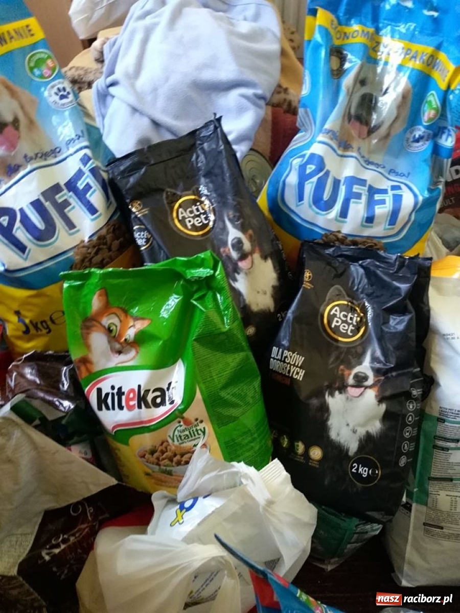 Zdjęcie w galerii na portalu naszraciborz.pl: Nakarm psisko i kocisko! Akcja charytatywna w SP 13 wiadomości z regionu