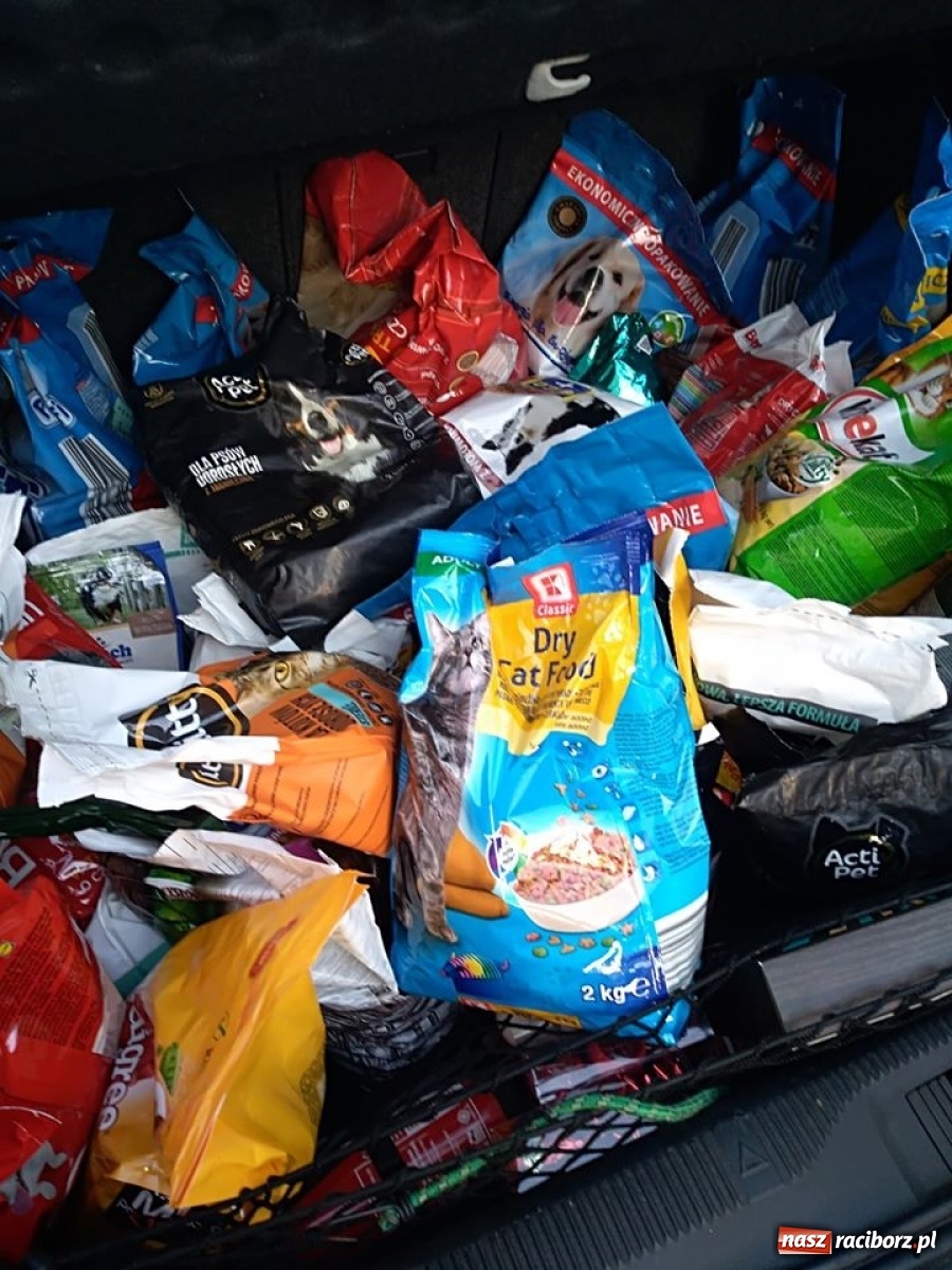 Zdjęcie w galerii na portalu naszraciborz.pl: Nakarm psisko i kocisko! Akcja charytatywna w SP 13 wiadomości z regionu