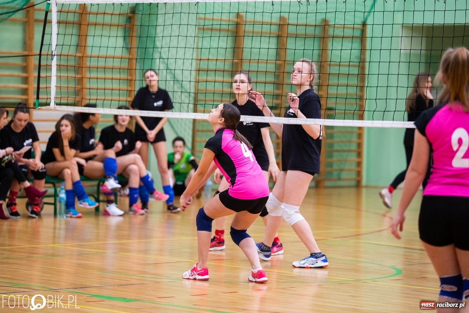 Zdjęcie w galerii na portalu naszraciborz.pl: Turniej Mikołajkowy w Piłce Siatkowej w Arenie Rafako wiadomości z regionu