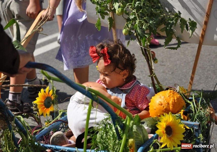 Zdjęcie w galerii na portalu naszraciborz.pl: Dożynki w Bolesławiu i Roszkowie wiadomości z regionu
