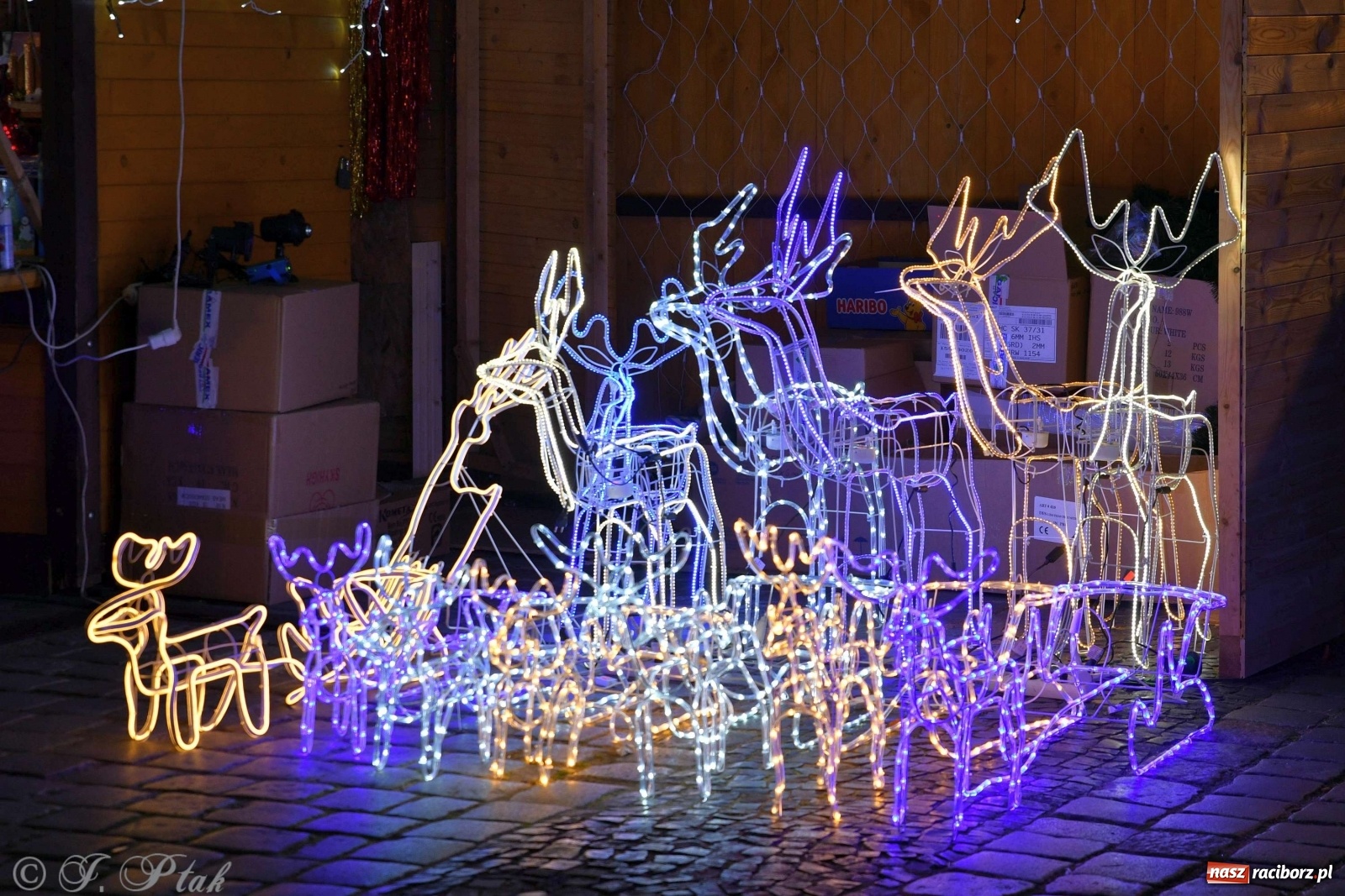 Zdjęcie w galerii na portalu naszraciborz.pl: Sobotni jarmark bożonarodzeniowy w Raciborzu [FOTO]  wiadomości z regionu