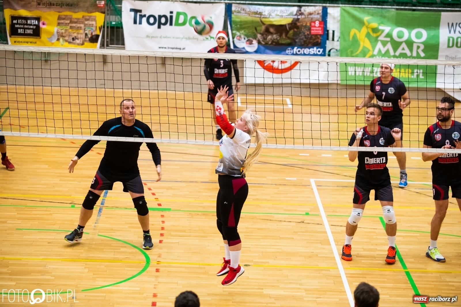 Zdjęcie w galerii na portalu naszraciborz.pl: Raciborski Nocny Turniej Mikołajkowy w Piłce Siatkowej wiadomości z regionu