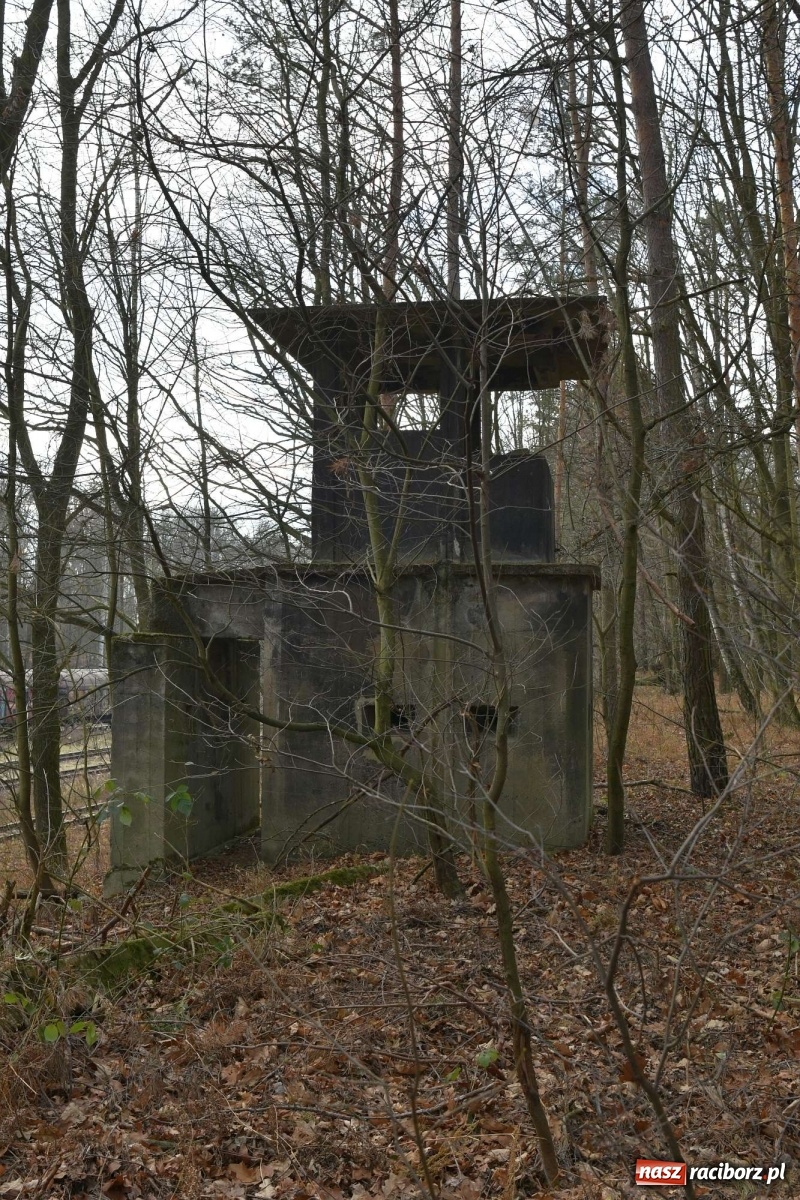 Zdjęcie w galerii na portalu naszraciborz.pl: V Raciborska Włóczęga z SRC 4x4 [FOTO i WIDEO] wiadomości z regionu