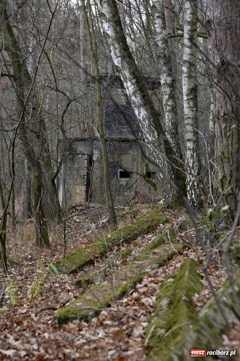 Zdjęcie w galerii na portalu naszraciborz.pl: V Raciborska Włóczęga z SRC 4x4 [FOTO i WIDEO] wiadomości z regionu