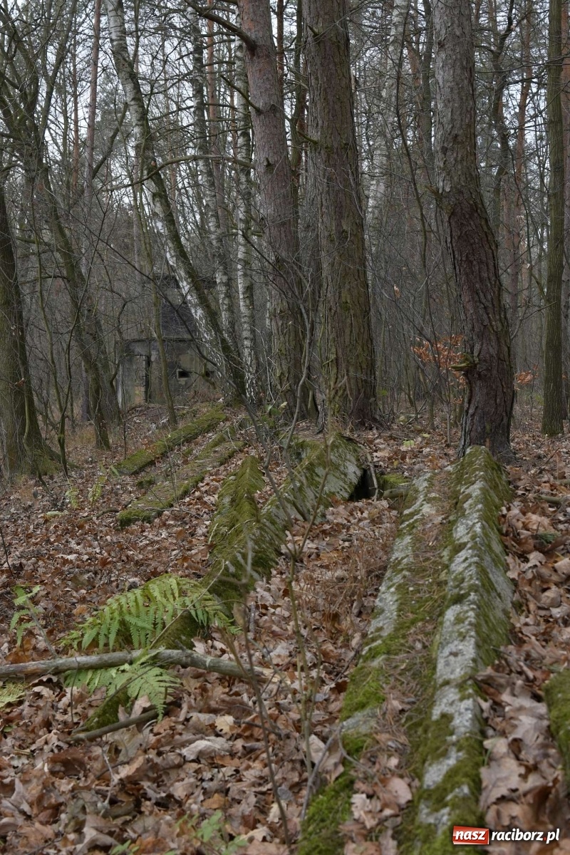 Zdjęcie w galerii na portalu naszraciborz.pl: V Raciborska Włóczęga z SRC 4x4 [FOTO i WIDEO] wiadomości z regionu