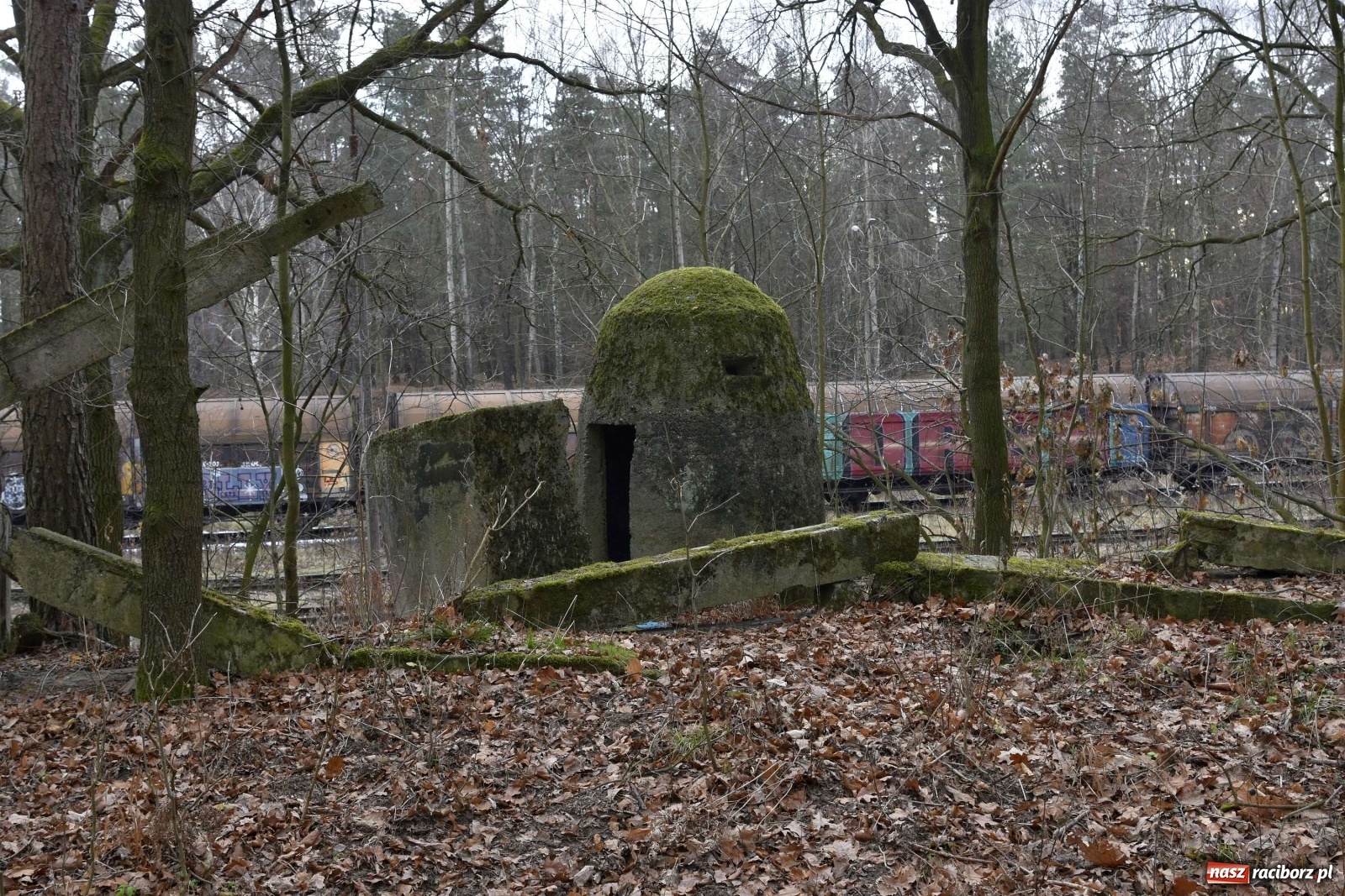 Zdjęcie w galerii na portalu naszraciborz.pl: V Raciborska Włóczęga z SRC 4x4 [FOTO i WIDEO] wiadomości z regionu