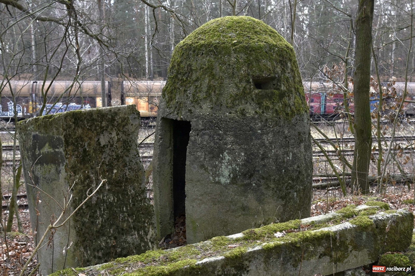 Zdjęcie w galerii na portalu naszraciborz.pl: V Raciborska Włóczęga z SRC 4x4 [FOTO i WIDEO] wiadomości z regionu