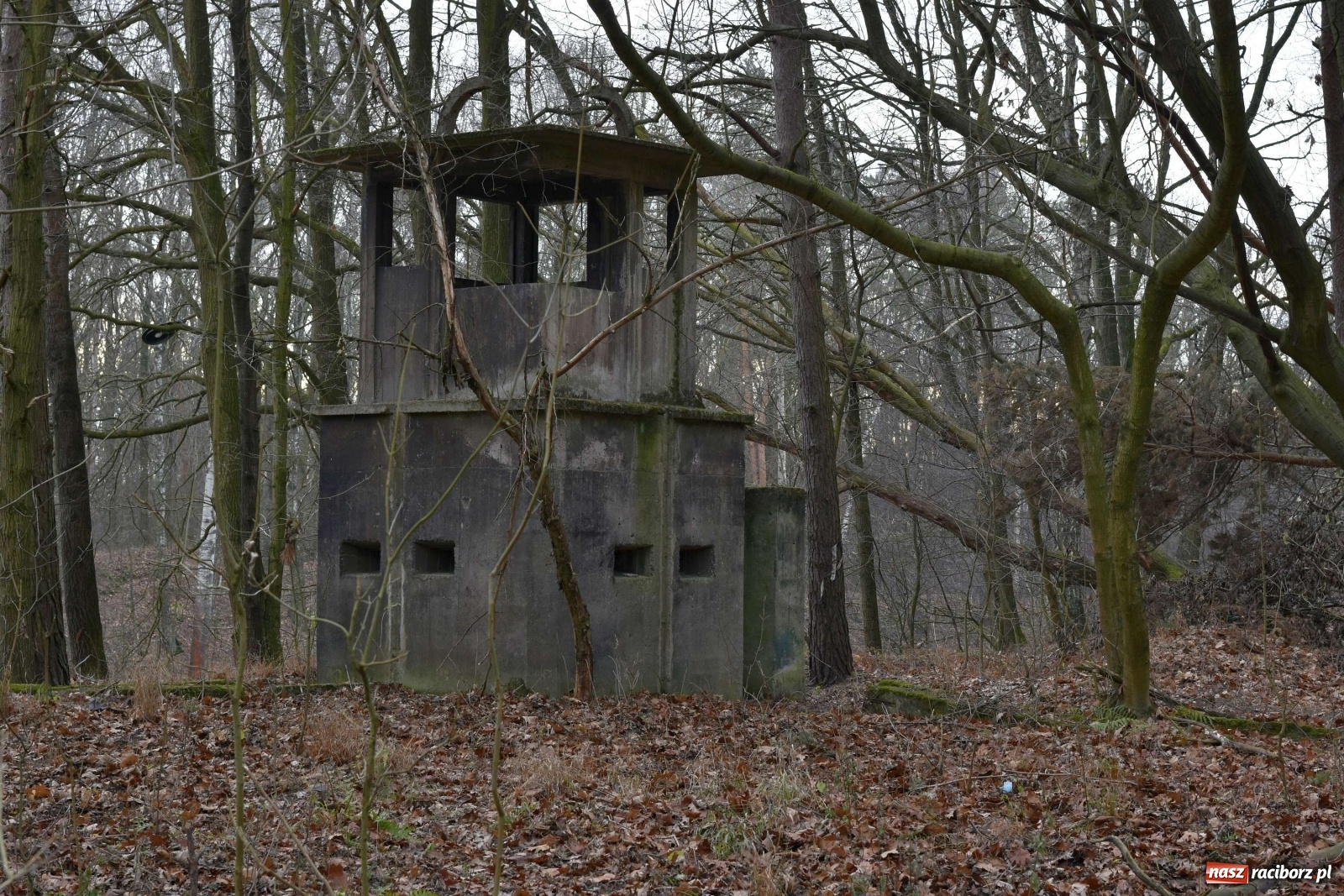 Zdjęcie w galerii na portalu naszraciborz.pl: V Raciborska Włóczęga z SRC 4x4 [FOTO i WIDEO] wiadomości z regionu