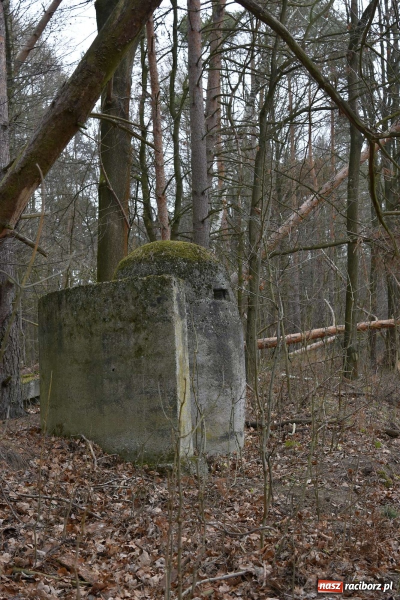 Zdjęcie w galerii na portalu naszraciborz.pl: V Raciborska Włóczęga z SRC 4x4 [FOTO i WIDEO] wiadomości z regionu