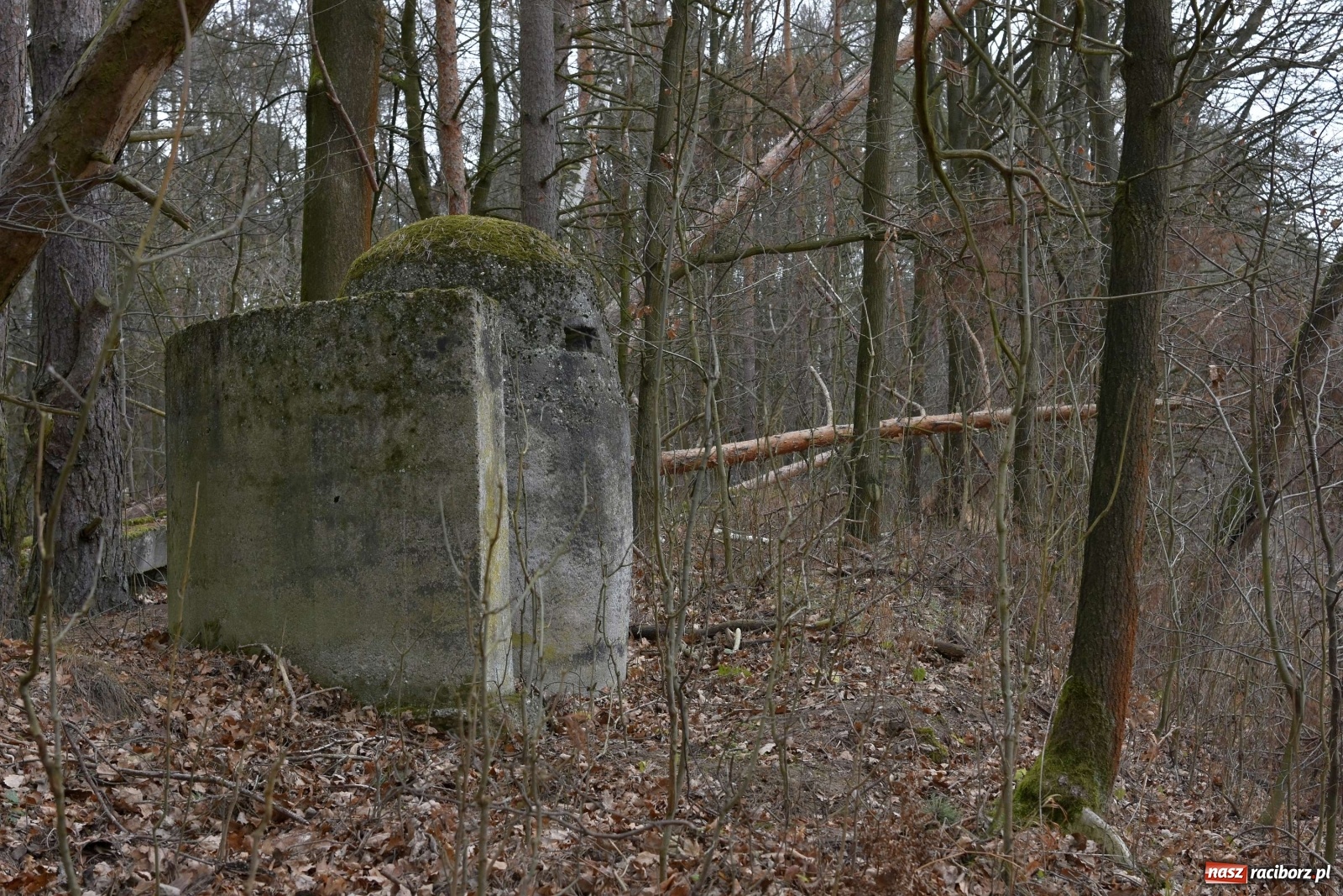 Zdjęcie w galerii na portalu naszraciborz.pl: V Raciborska Włóczęga z SRC 4x4 [FOTO i WIDEO] wiadomości z regionu