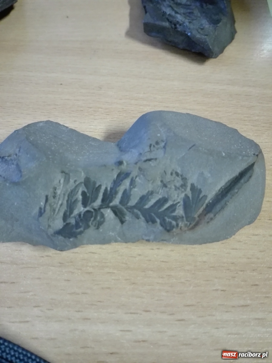 Zdjęcie w galerii na portalu naszraciborz.pl: Dzieci z SP 15 spotkały się z górnikiem wiadomości z regionu