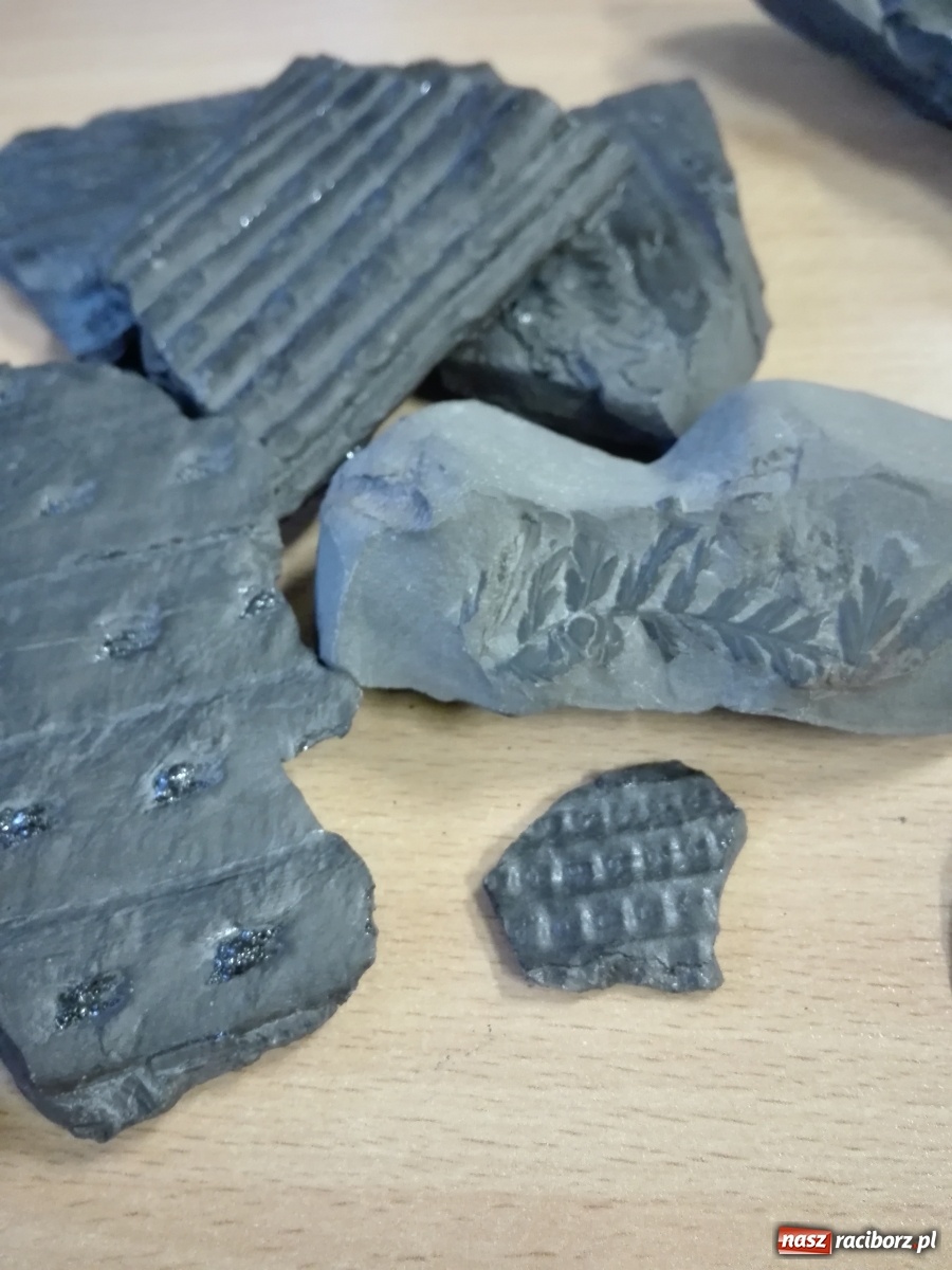 Zdjęcie w galerii na portalu naszraciborz.pl: Dzieci z SP 15 spotkały się z górnikiem wiadomości z regionu