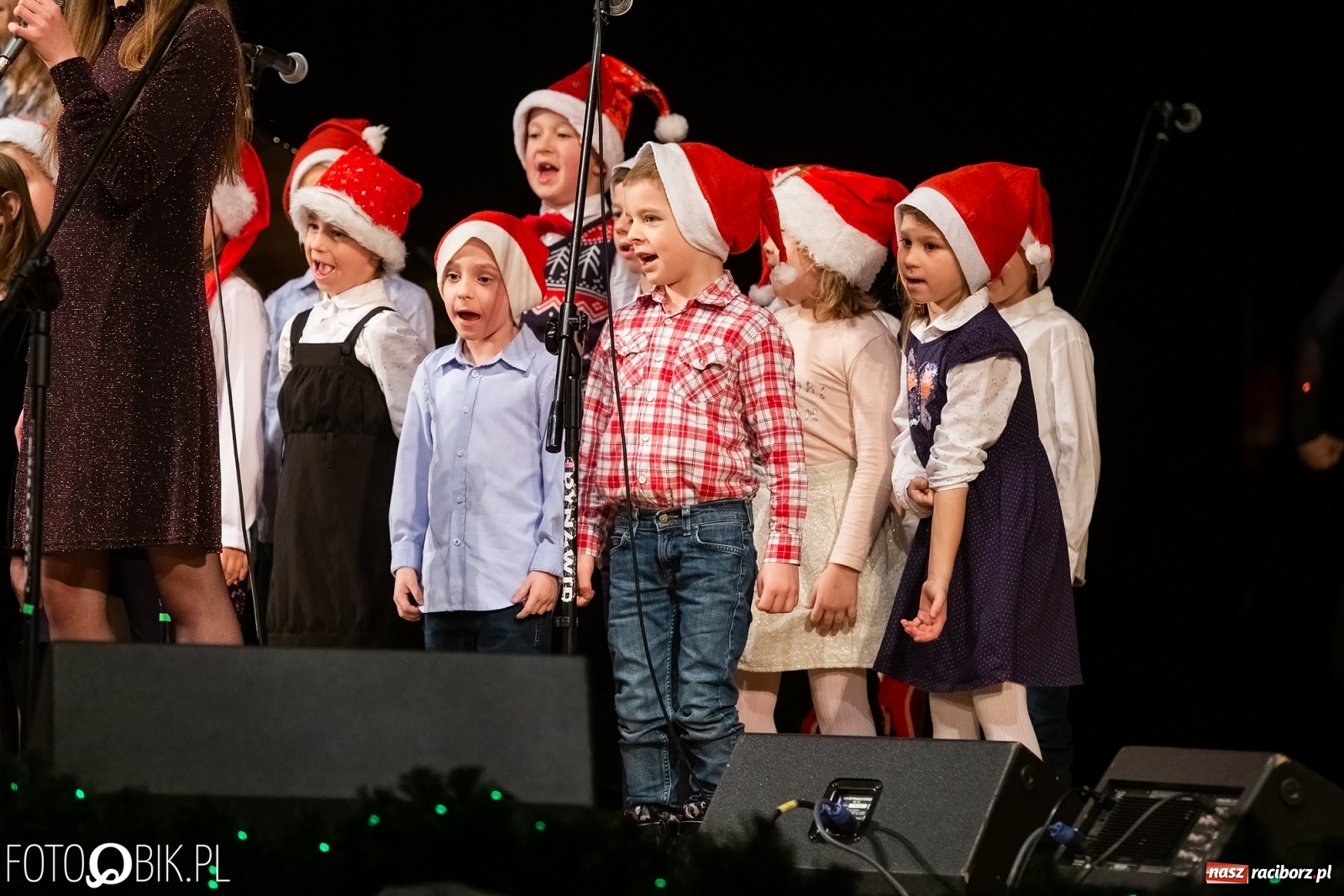 Zdjęcie w galerii na portalu naszraciborz.pl: Koncert zimowy w wykonaniu uczniów I LO i SP 4 w RCK [FOTO i WIDEO] wiadomości z regionu