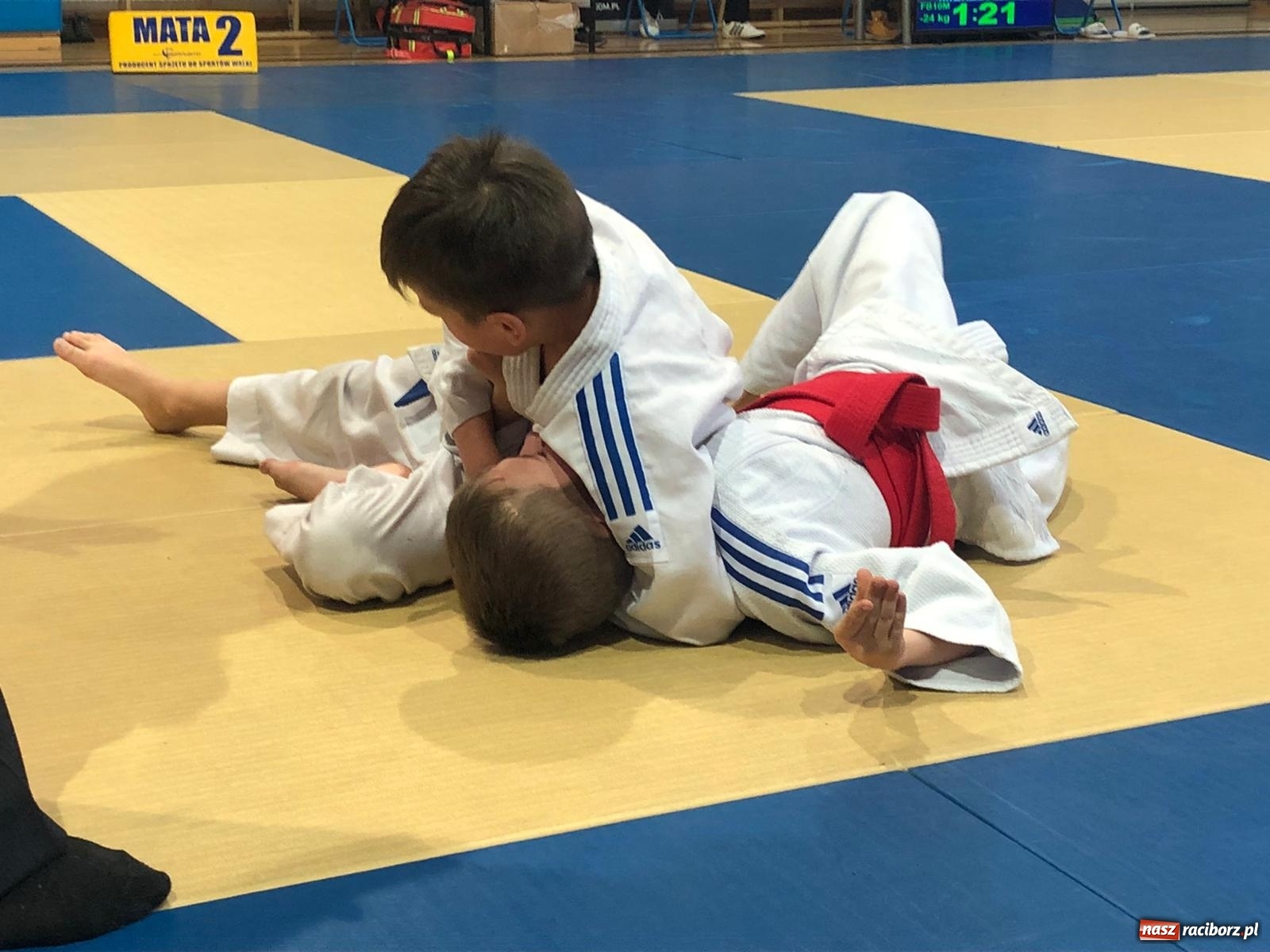 Zdjęcie w galerii na portalu naszraciborz.pl: Trzynaście medali Łamatora w Katowicach wiadomości z regionu