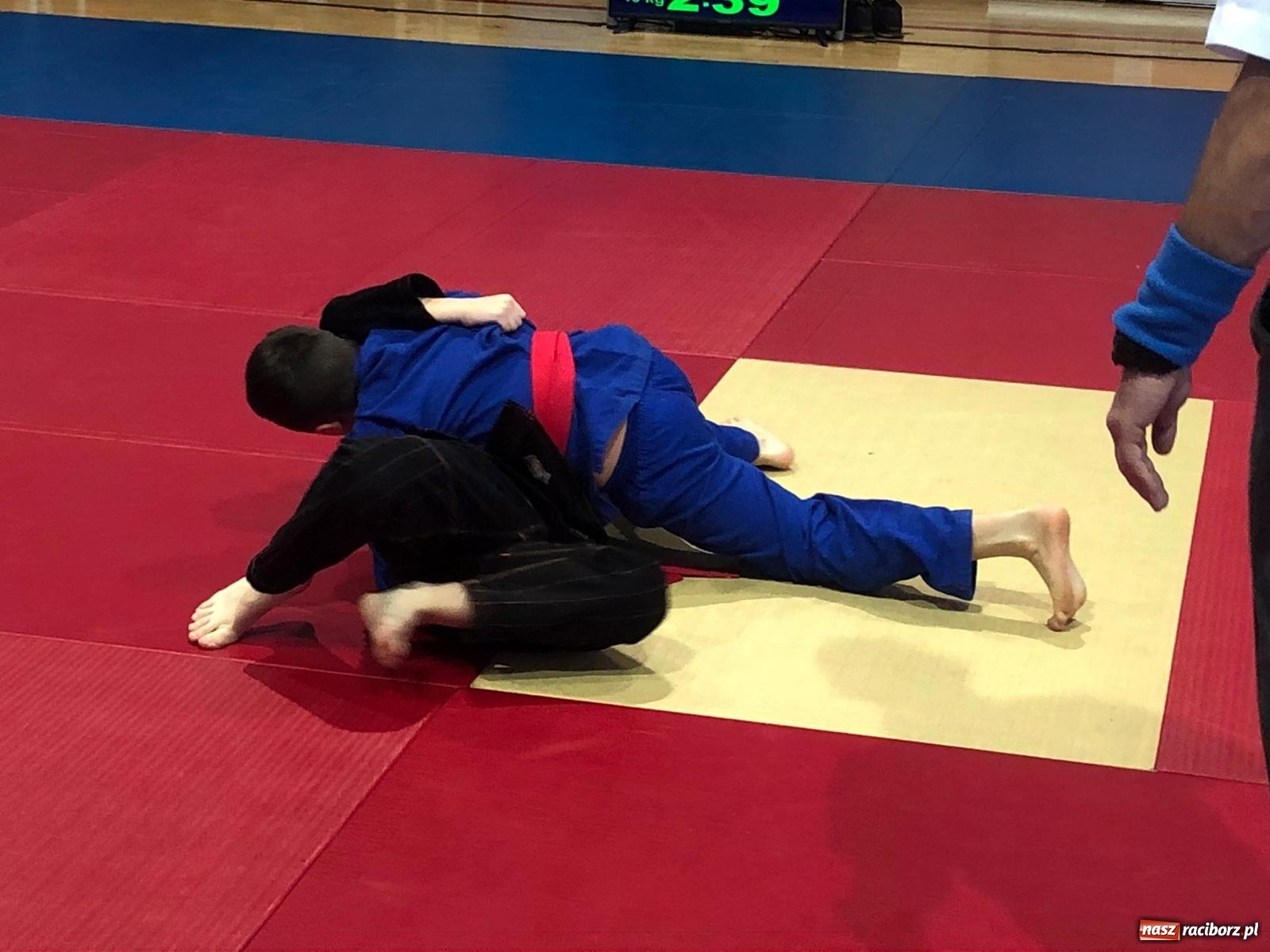 Zdjęcie w galerii na portalu naszraciborz.pl: Trzynaście medali Łamatora w Katowicach wiadomości z regionu