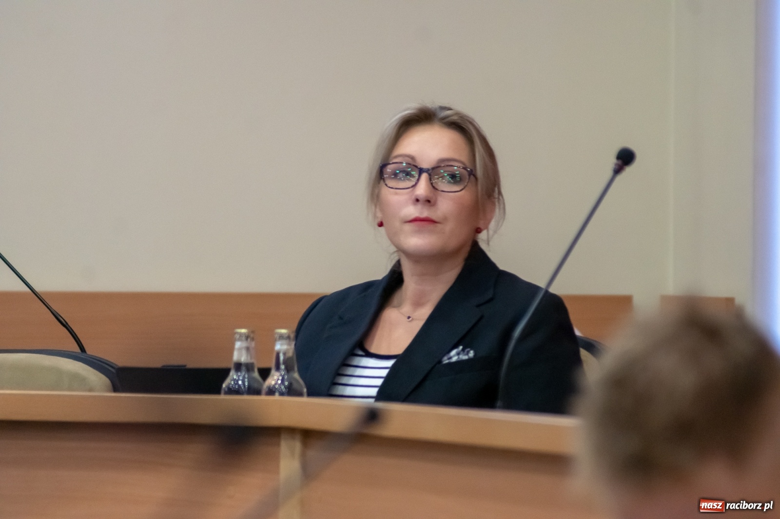 Zdjęcie w galerii na portalu naszraciborz.pl: Wodne zdroje pod zamkiem, STOP banerom i wspomaganie  wiadomości z regionu