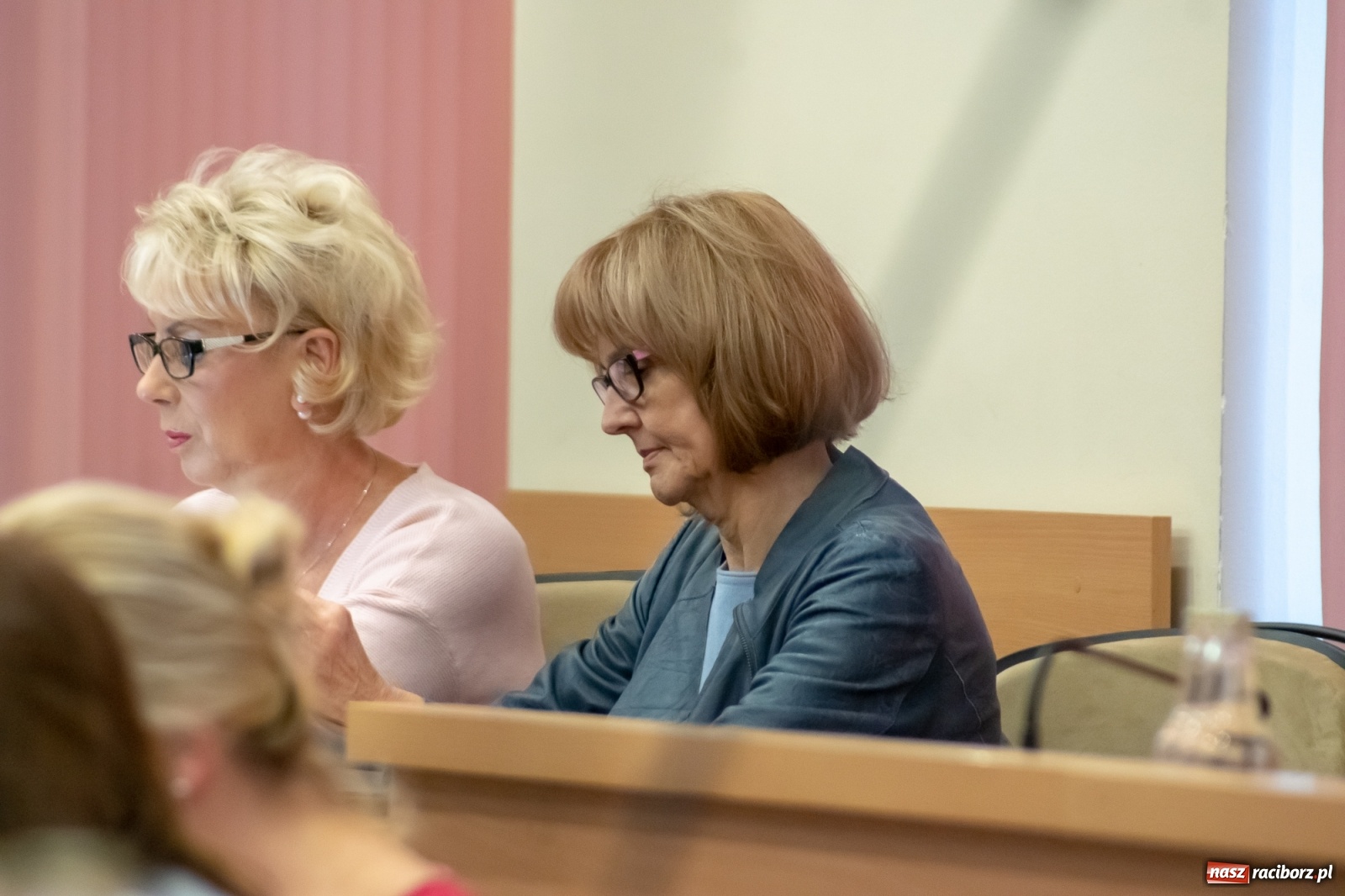 Zdjęcie w galerii na portalu naszraciborz.pl: Wodne zdroje pod zamkiem, STOP banerom i wspomaganie  wiadomości z regionu