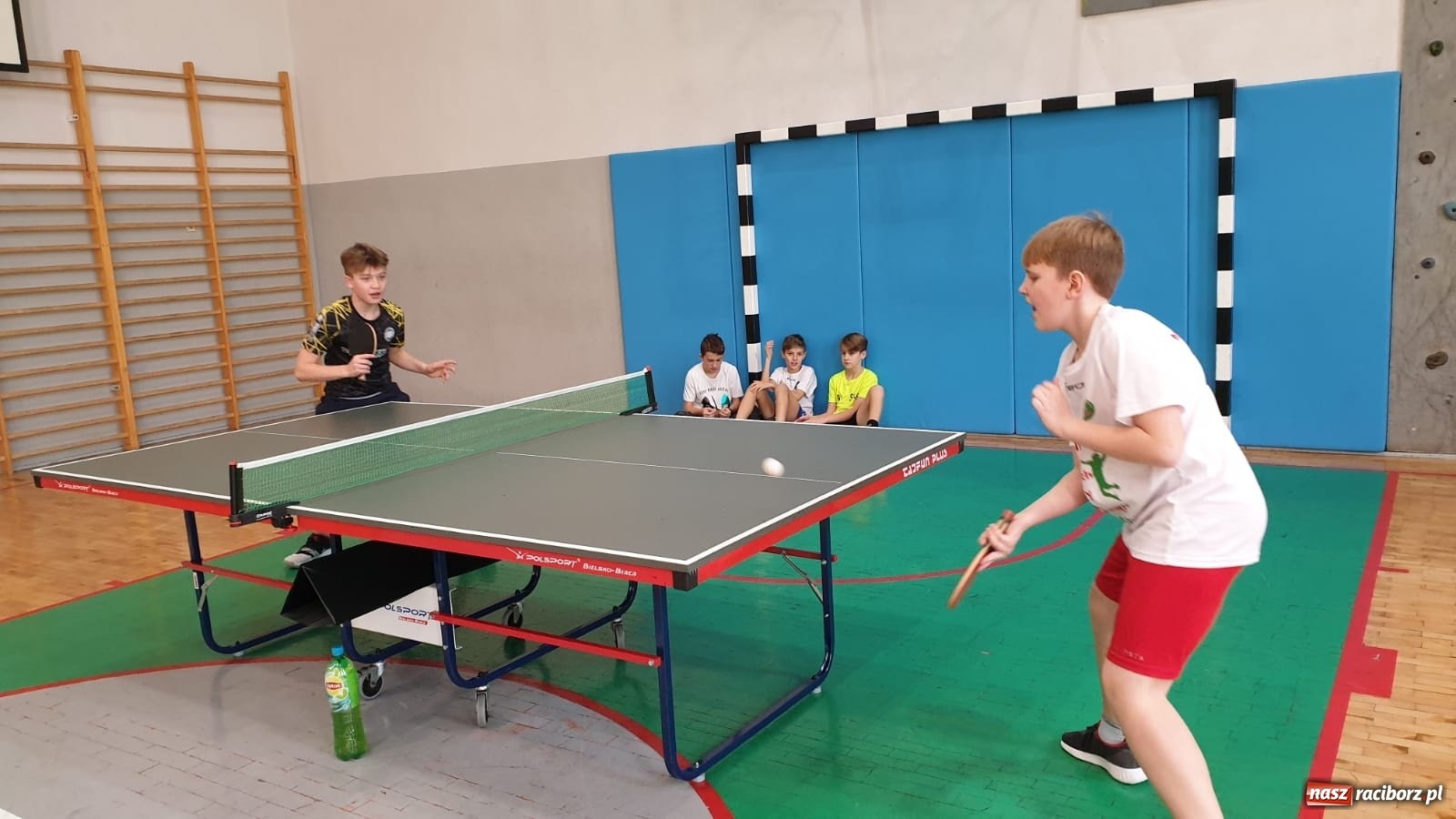 Zdjęcie w galerii na portalu naszraciborz.pl: Tenisowa rywalizacja w raciborskim MOS wiadomości z regionu