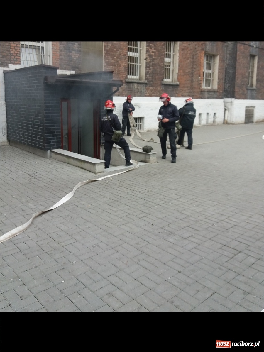 Zdjęcie w galerii na portalu naszraciborz.pl: Podczas konwojowania doszło do ucieczki więźniów z ZK Racibórz [FOTO]  wiadomości z regionu