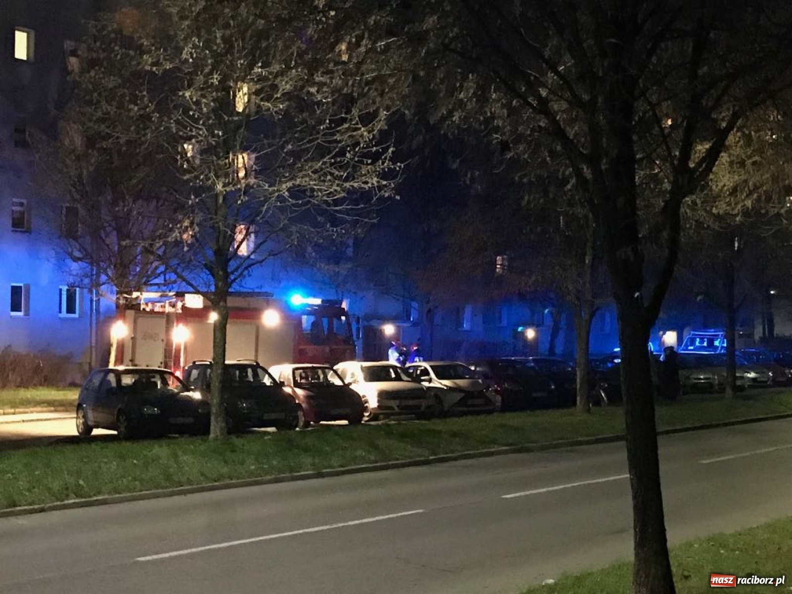Zdjęcie w galerii na portalu naszraciborz.pl: Raport 998. Strażacy uratowali 80-latkę w Kuźni Raciborskiej wiadomości z regionu