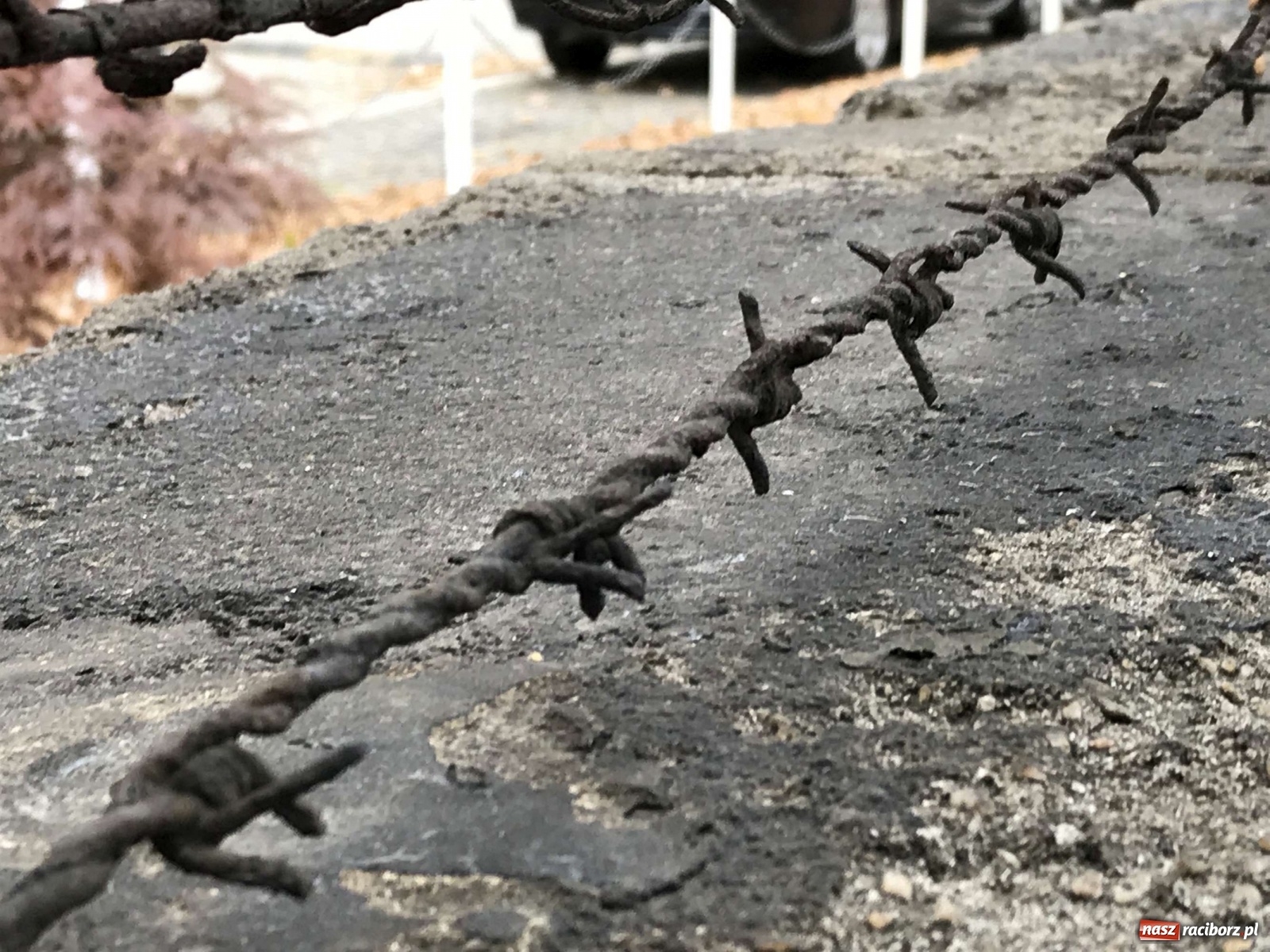 Zdjęcie w galerii na portalu naszraciborz.pl: Gdzie w Raciborzu więziono błogosławionego Richarda Henkesa?  wiadomości z regionu