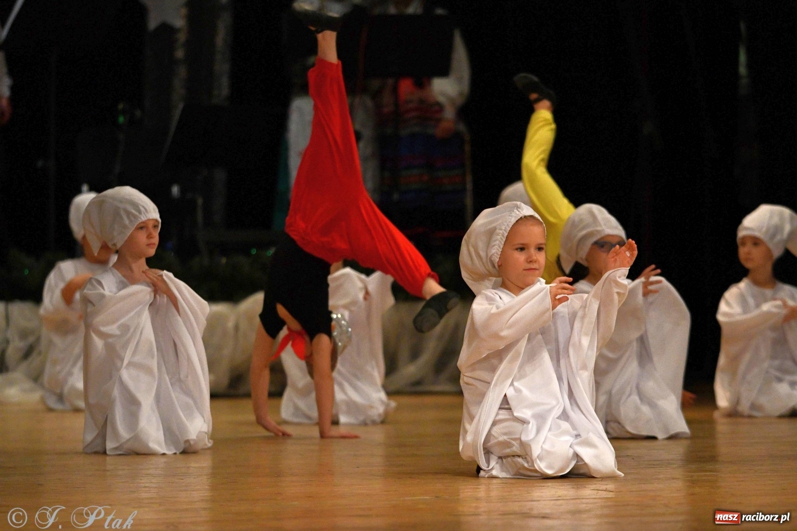 Zdjęcie w galerii na portalu naszraciborz.pl: Kolorowy koncert raciborskiego Źródła [FOTO] wiadomości z regionu