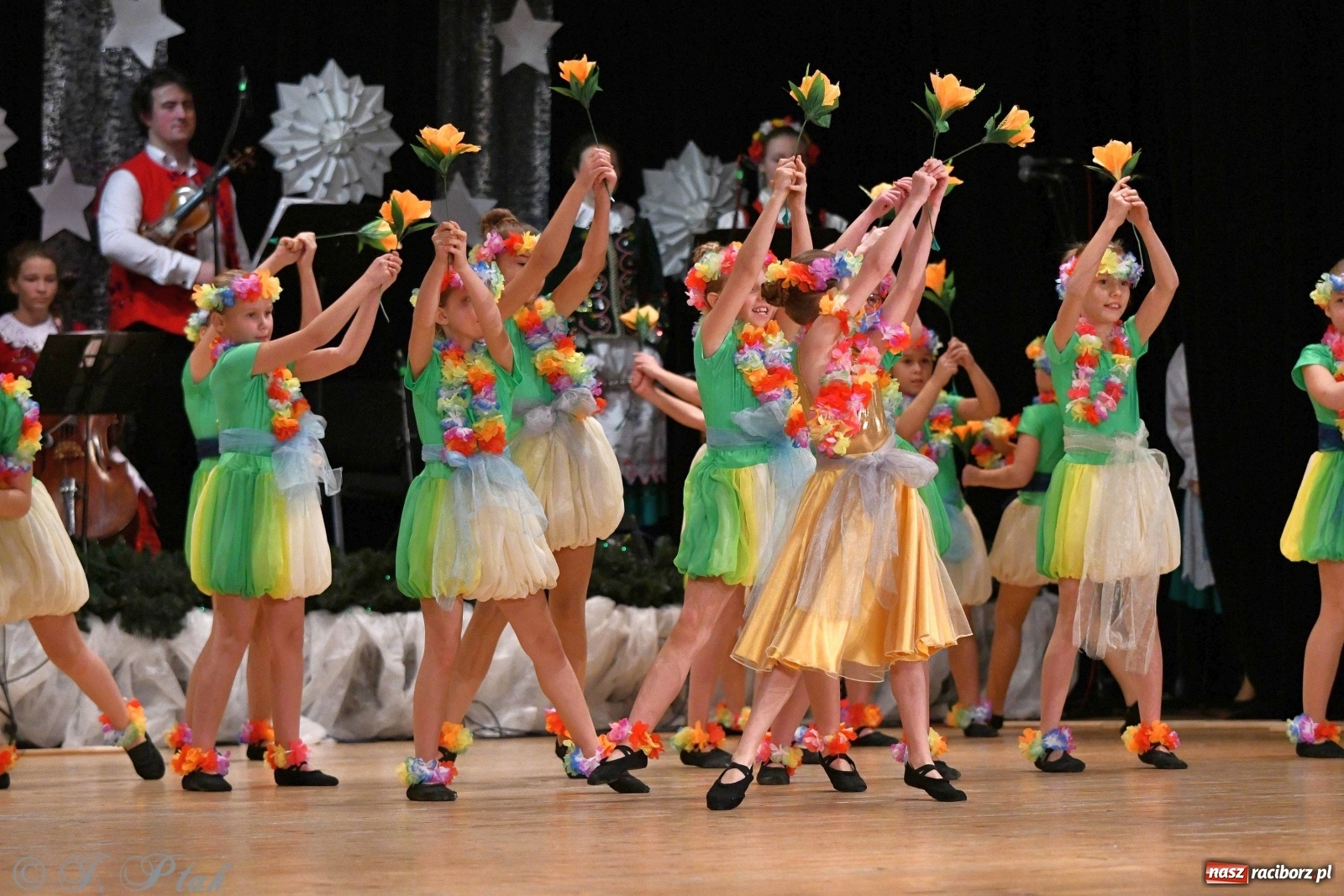 Zdjęcie w galerii na portalu naszraciborz.pl: Kolorowy koncert raciborskiego Źródła [FOTO] wiadomości z regionu