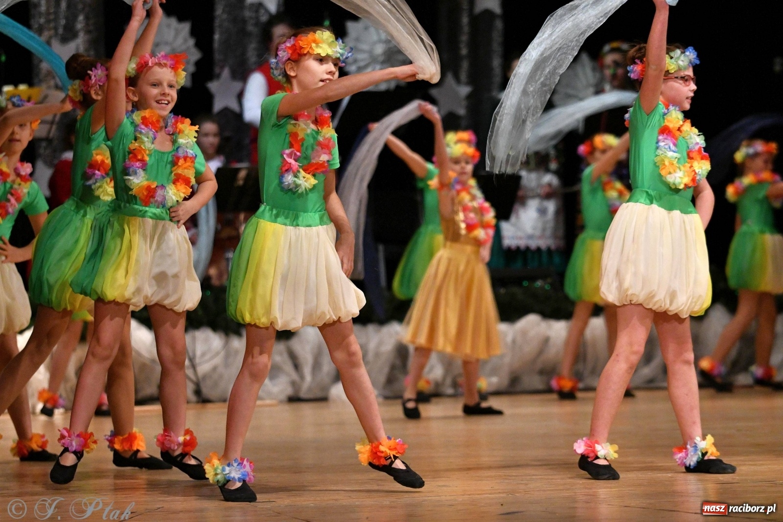 Zdjęcie w galerii na portalu naszraciborz.pl: Kolorowy koncert raciborskiego Źródła [FOTO] wiadomości z regionu