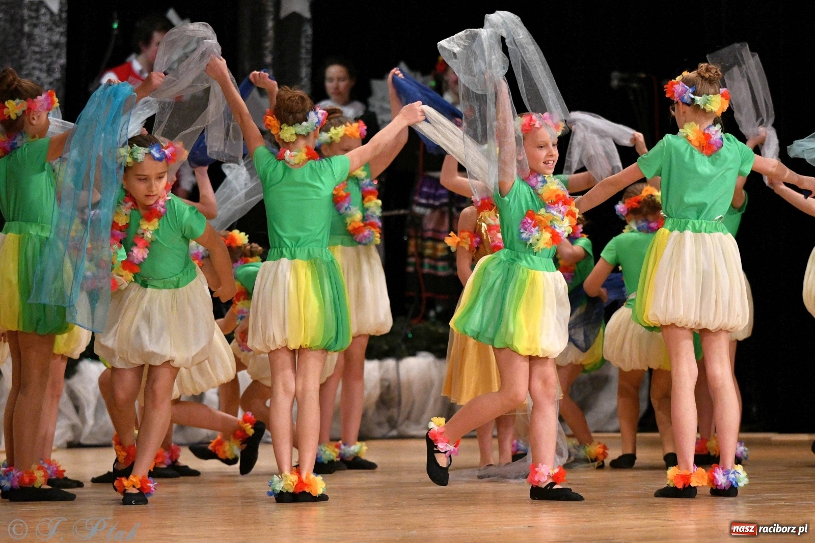 Zdjęcie w galerii na portalu naszraciborz.pl: Kolorowy koncert raciborskiego Źródła [FOTO] wiadomości z regionu