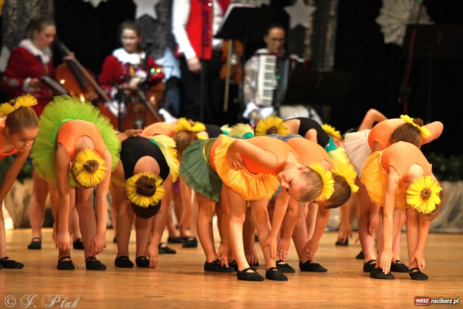 Zdjęcie w galerii na portalu naszraciborz.pl: Kolorowy koncert raciborskiego Źródła [FOTO] wiadomości z regionu