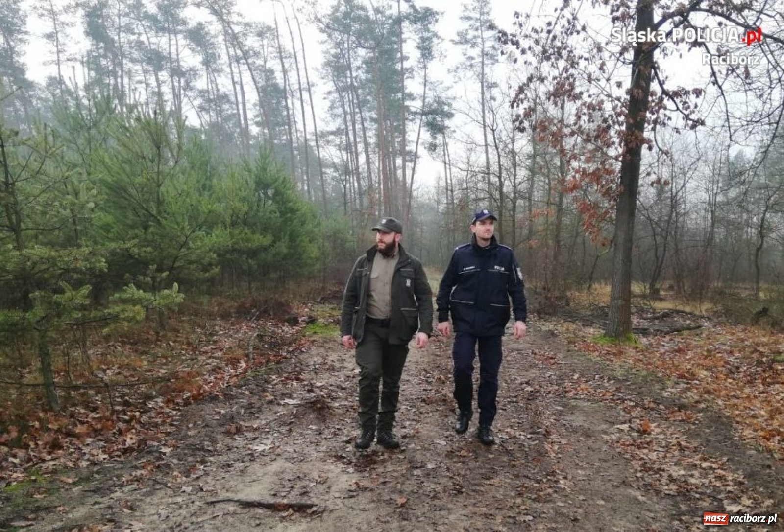 Zdjęcie w galerii na portalu naszraciborz.pl: Policjanci i strażnicy leśni na wspólnych patrolach wiadomości z regionu