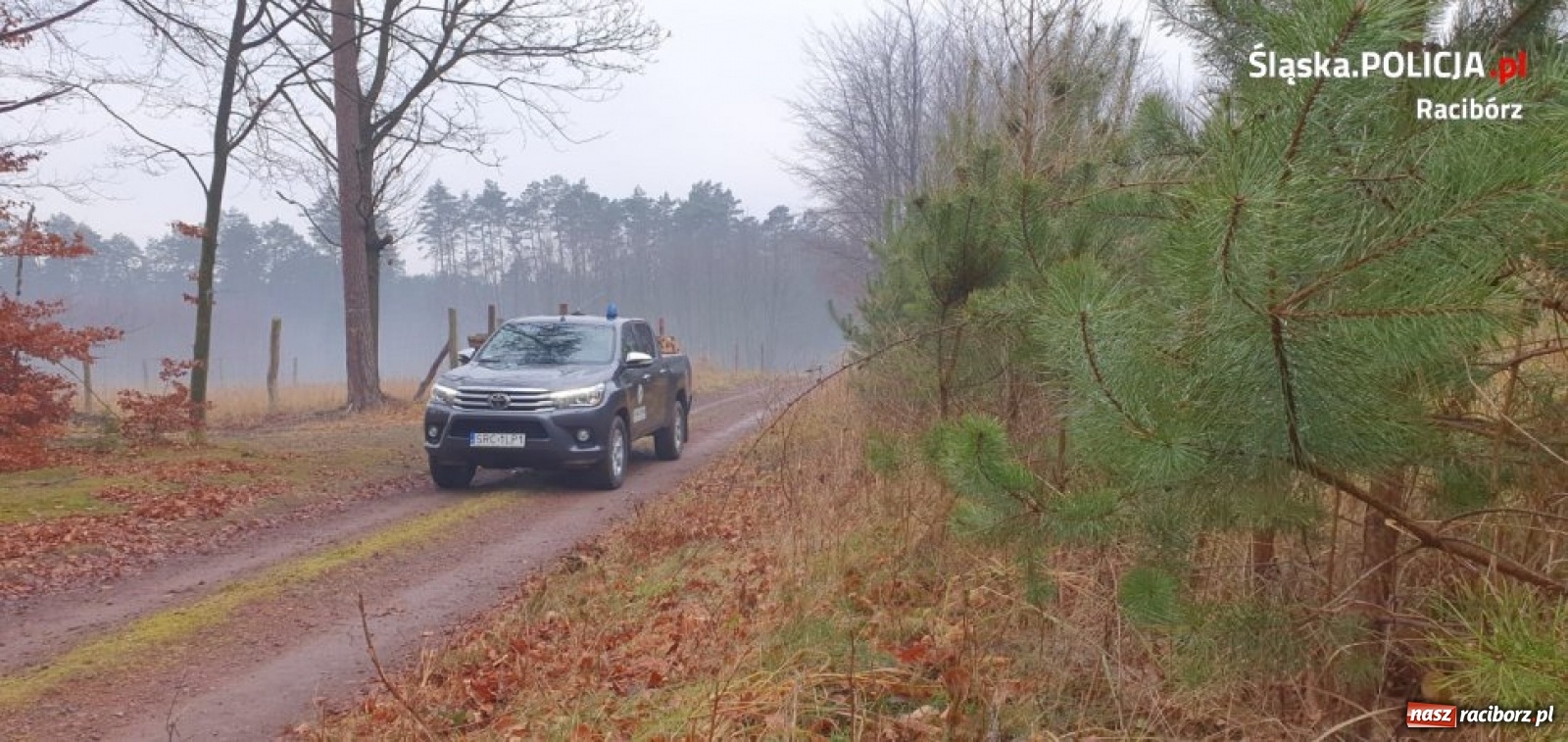 Zdjęcie w galerii na portalu naszraciborz.pl: Policjanci i strażnicy leśni na wspólnych patrolach wiadomości z regionu