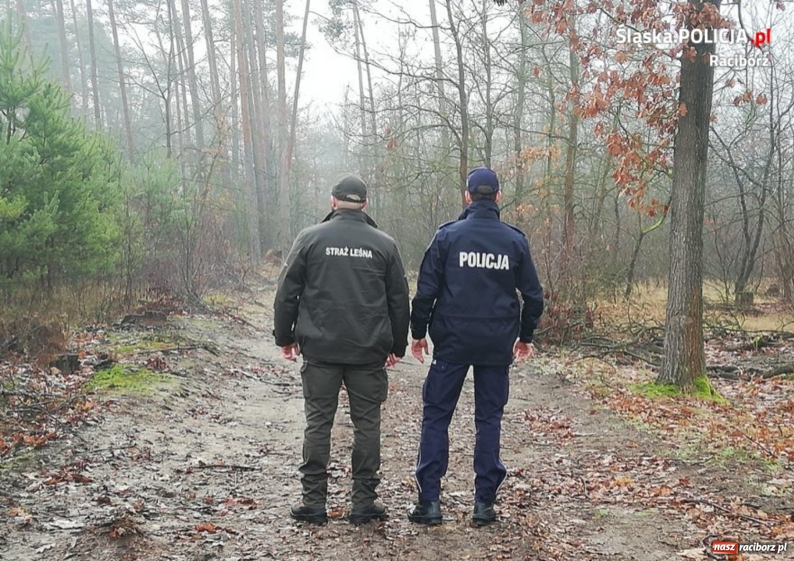 Zdjęcie w galerii na portalu naszraciborz.pl: Policjanci i strażnicy leśni na wspólnych patrolach wiadomości z regionu
