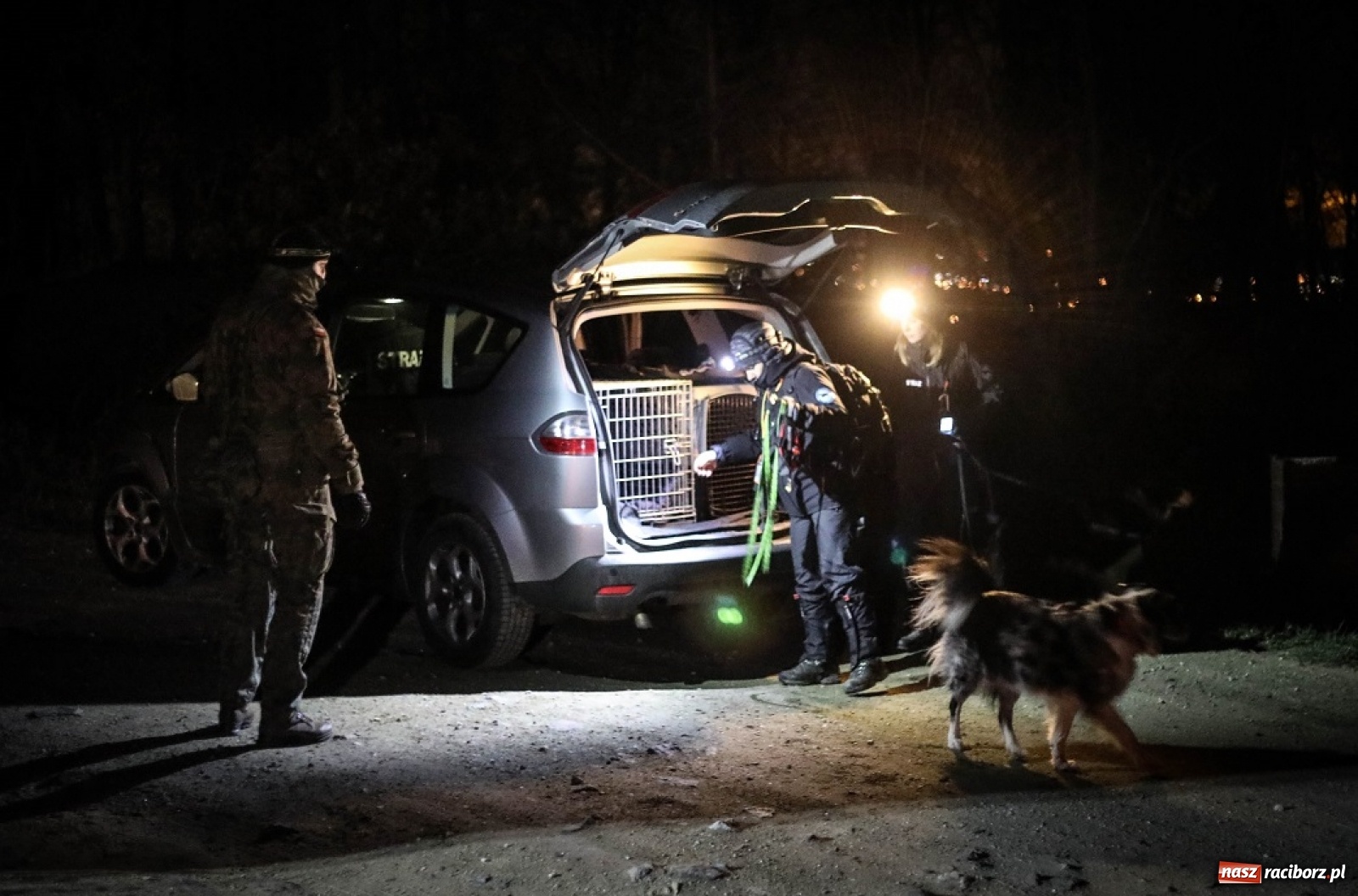 Zdjęcie w galerii na portalu naszraciborz.pl: Tak szkoli się pilotażowa grupa K9 terytorialsów wiadomości z regionu