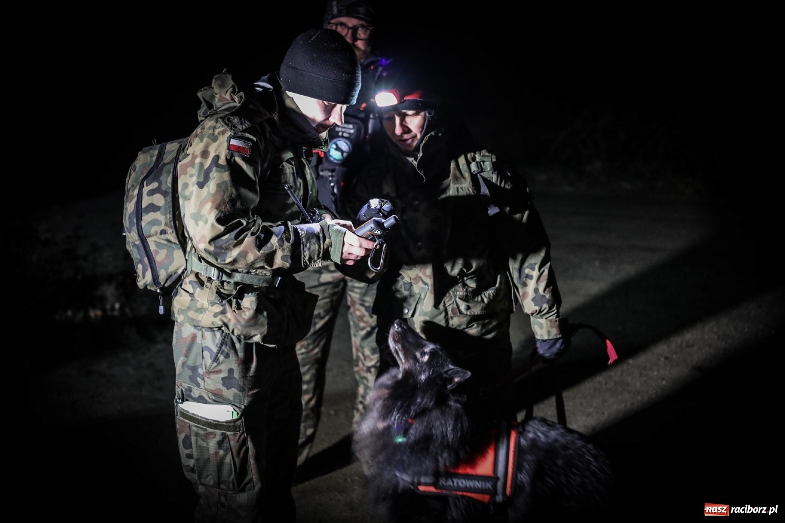 Zdjęcie w galerii na portalu naszraciborz.pl: Tak szkoli się pilotażowa grupa K9 terytorialsów wiadomości z regionu