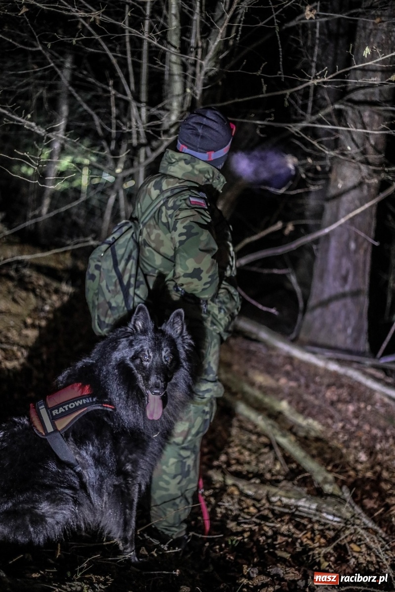 Zdjęcie w galerii na portalu naszraciborz.pl: Tak szkoli się pilotażowa grupa K9 terytorialsów wiadomości z regionu