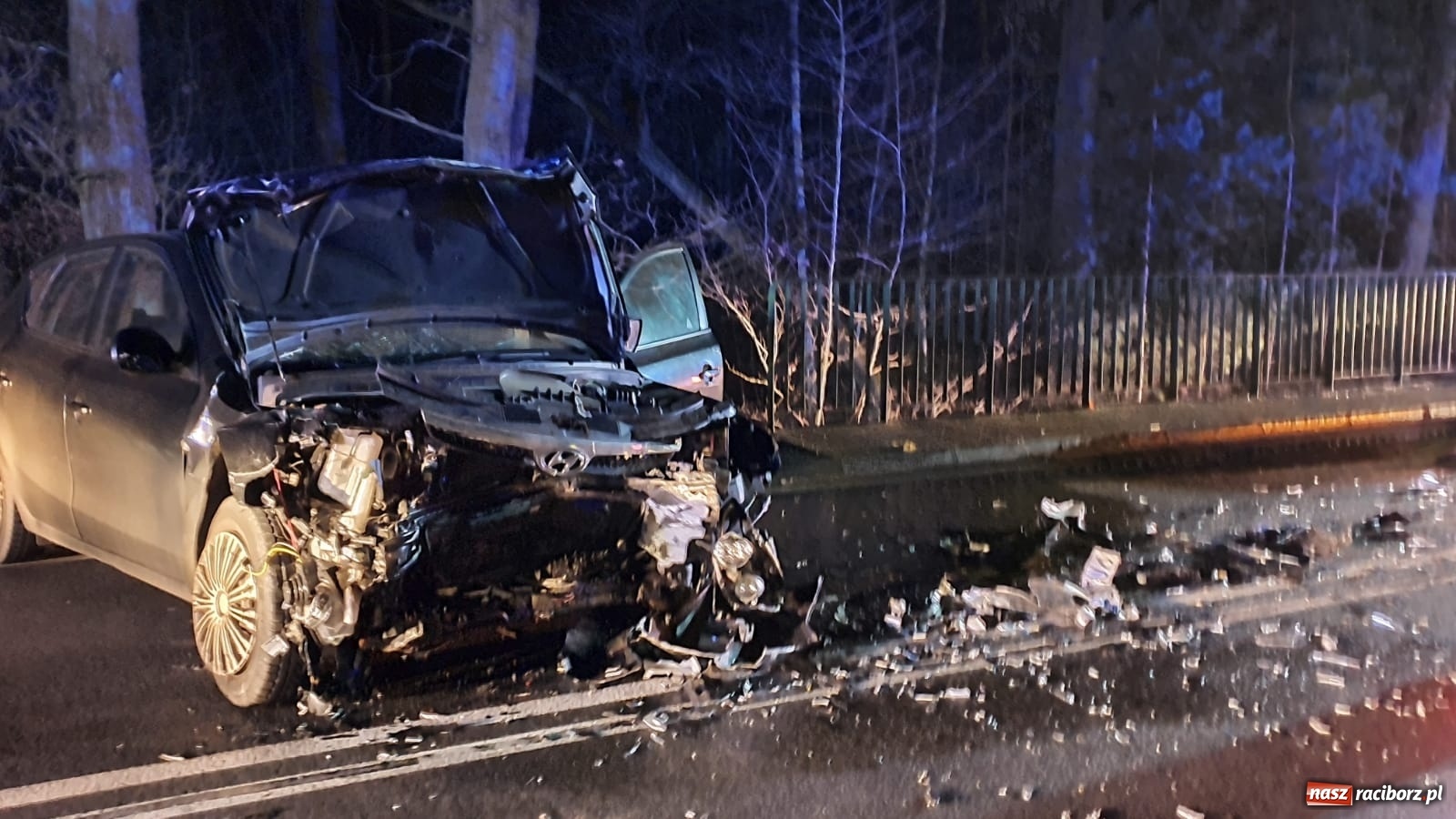 Zdjęcie w galerii na portalu naszraciborz.pl: Tragedia pod Rudą Kozielską. Dachowanie za Miedonią. Komunikat policji  wiadomości z regionu